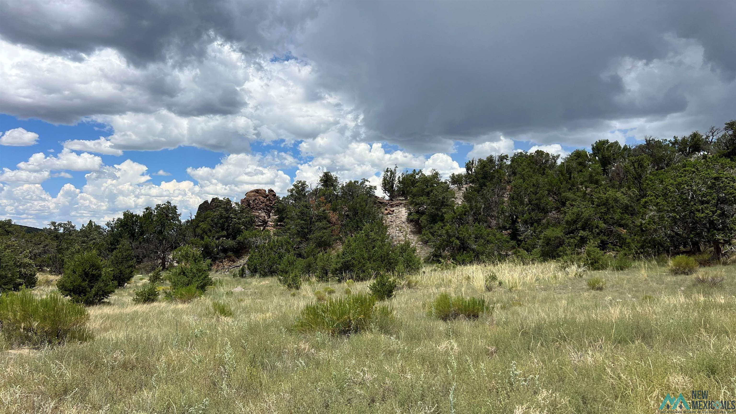 Nm - 603 Road, Quemado, New Mexico image 16