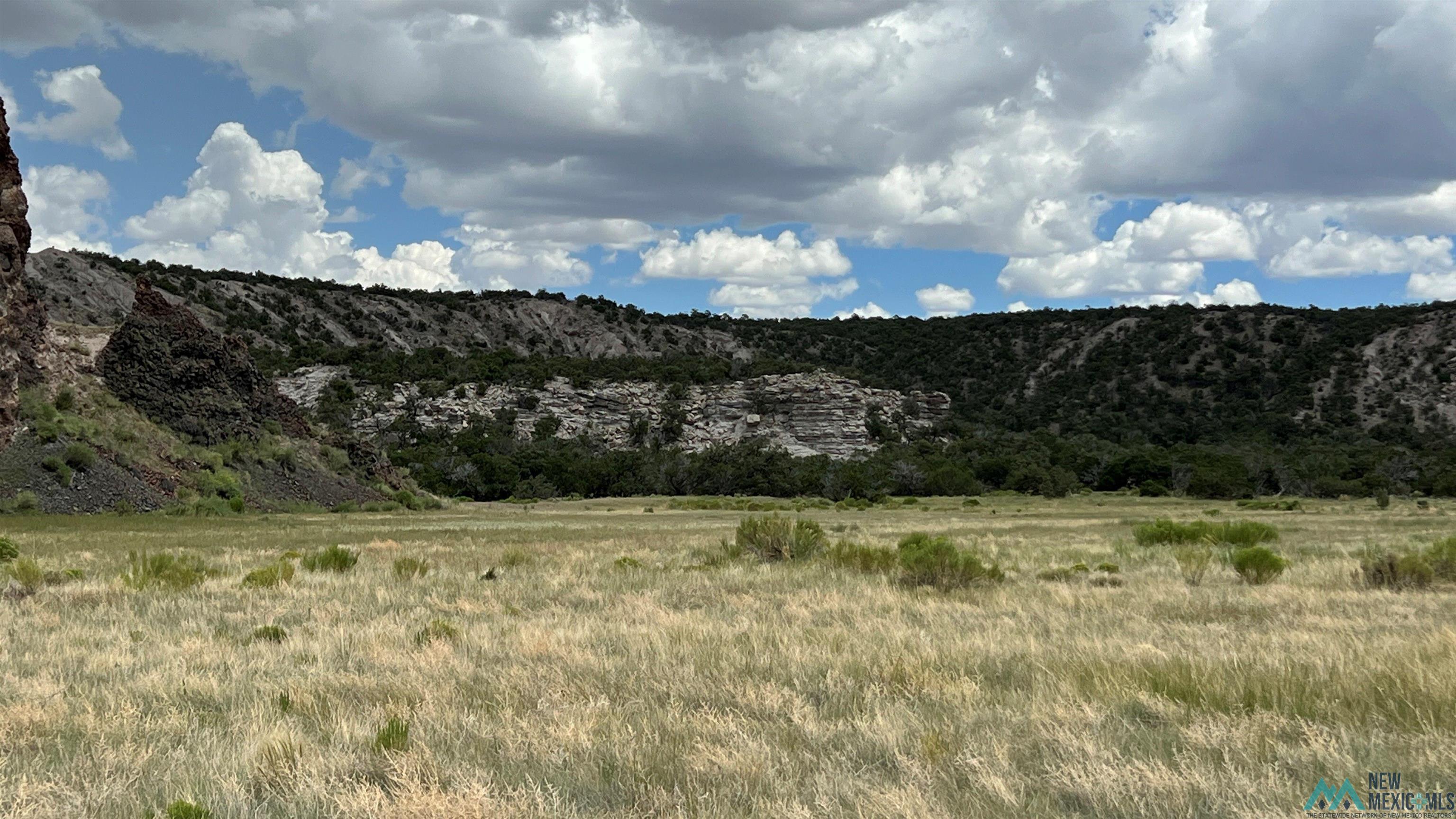 Nm - 603 Road, Quemado, New Mexico image 10