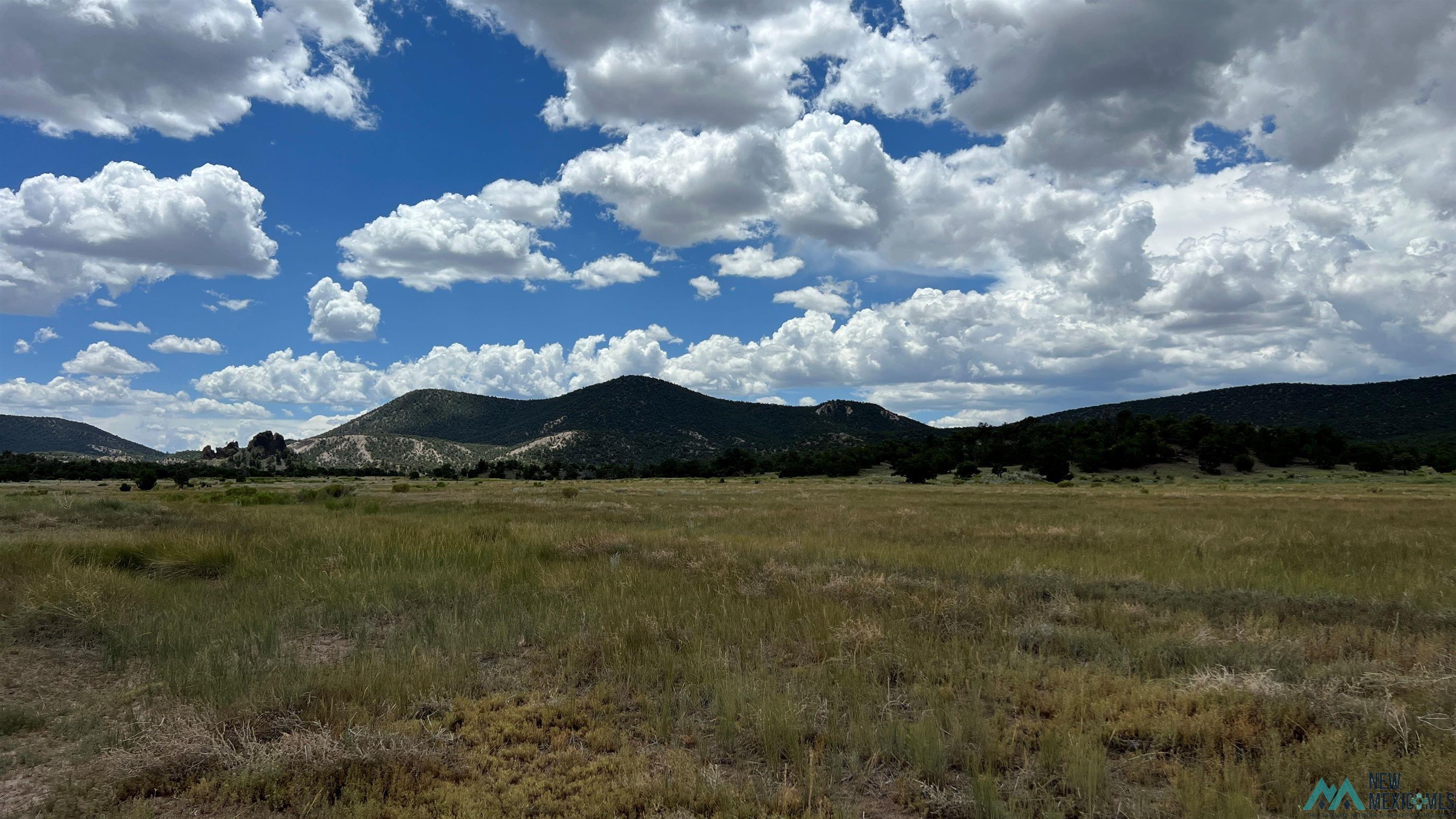 Nm - 603 Road, Quemado, New Mexico image 35