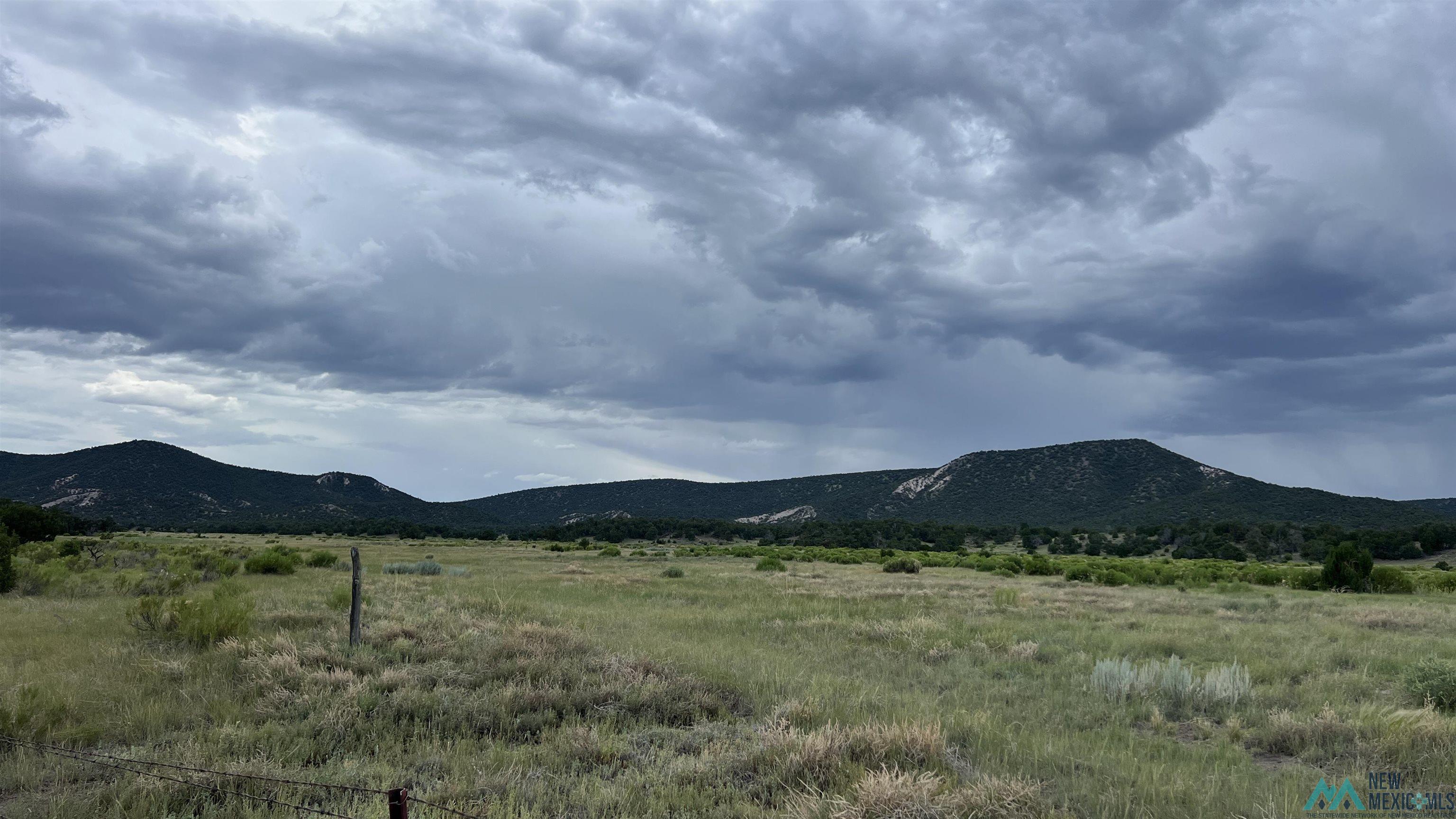 Nm - 603 Road, Quemado, New Mexico image 20