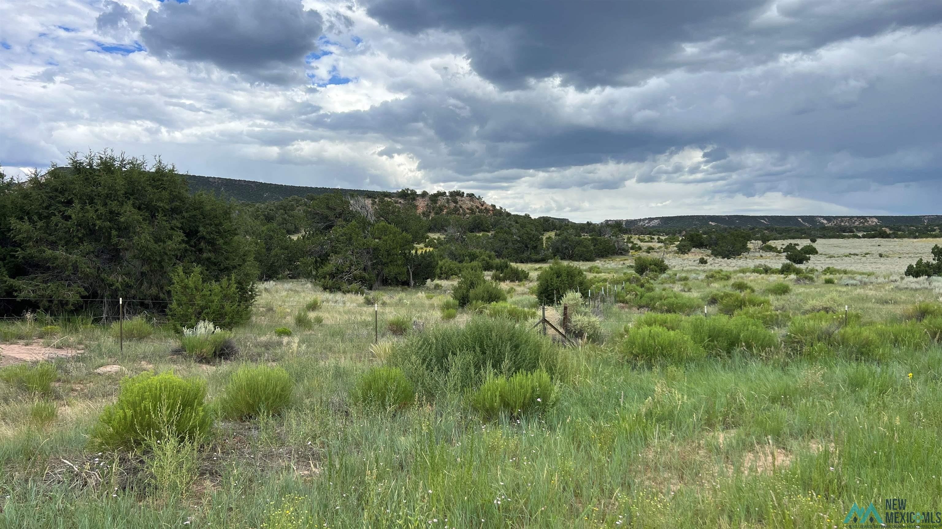 Nm - 603 Road, Quemado, New Mexico image 5