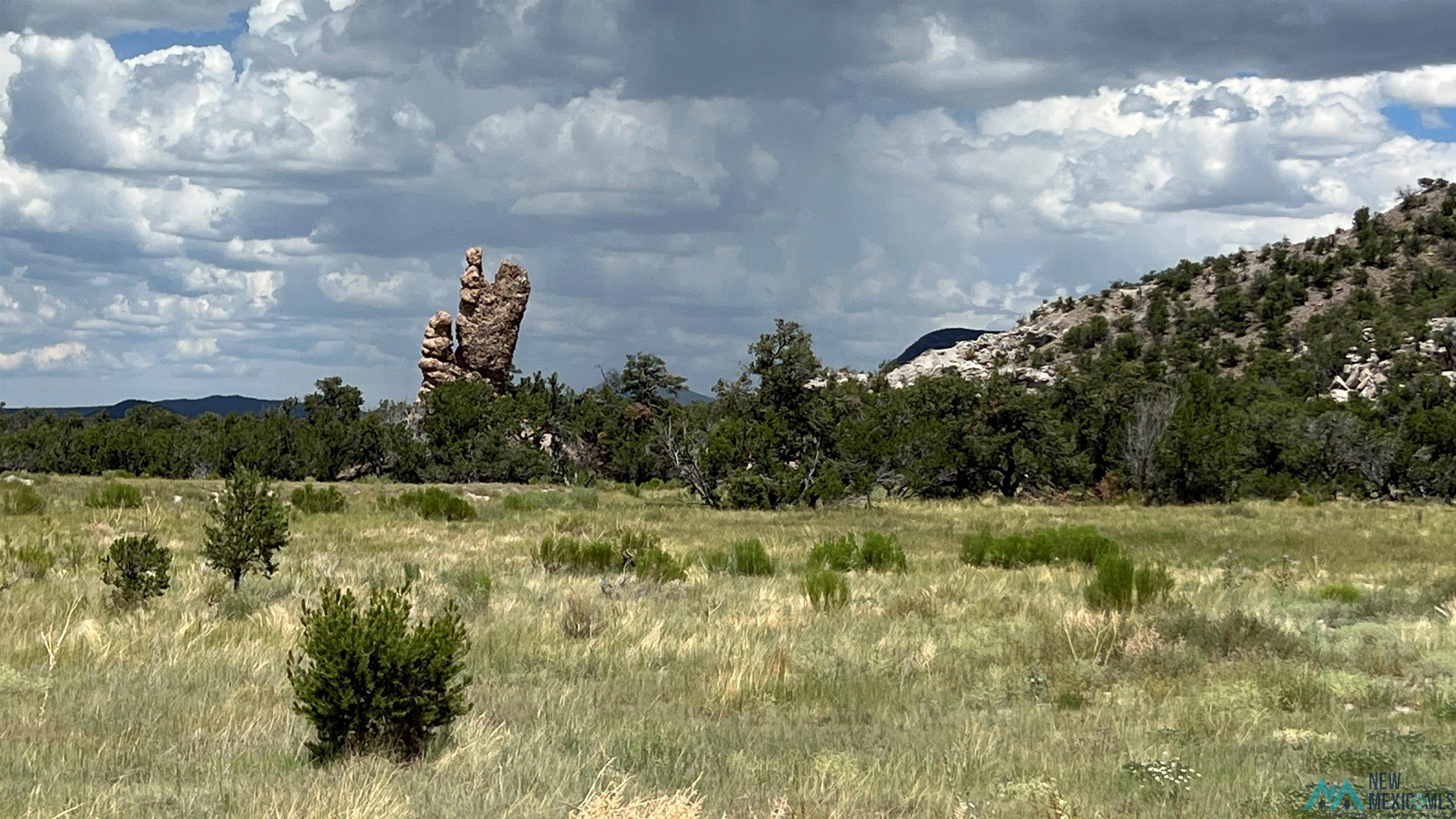 Nm - 603 Road, Quemado, New Mexico image 15