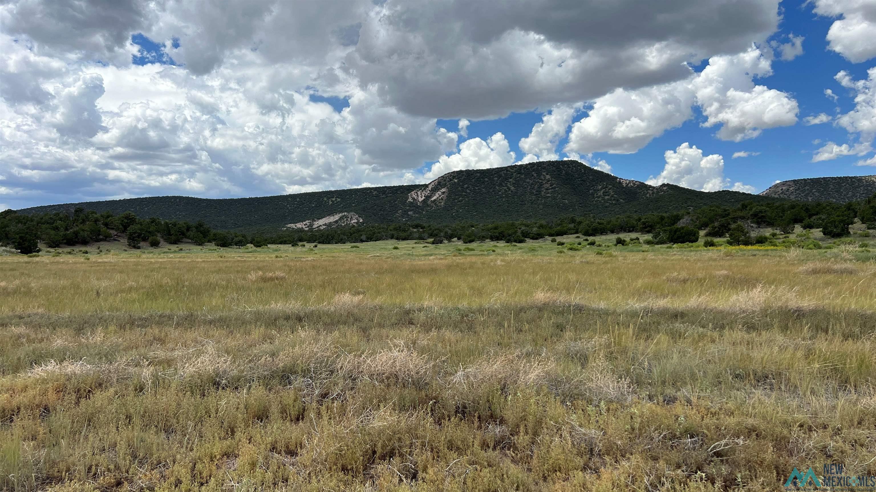 Nm - 603 Road, Quemado, New Mexico image 36