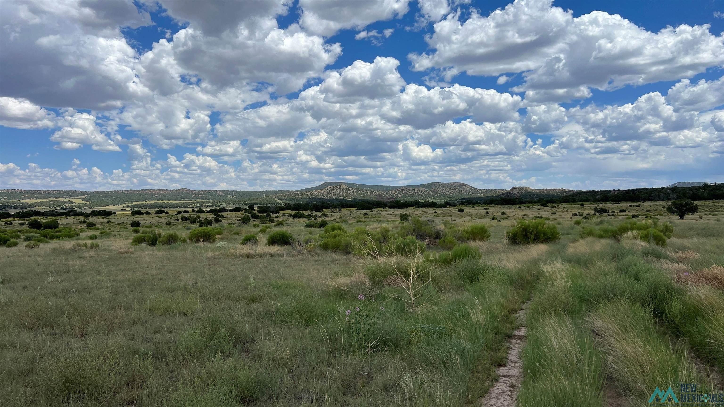 Nm - 603 Road, Quemado, New Mexico image 41