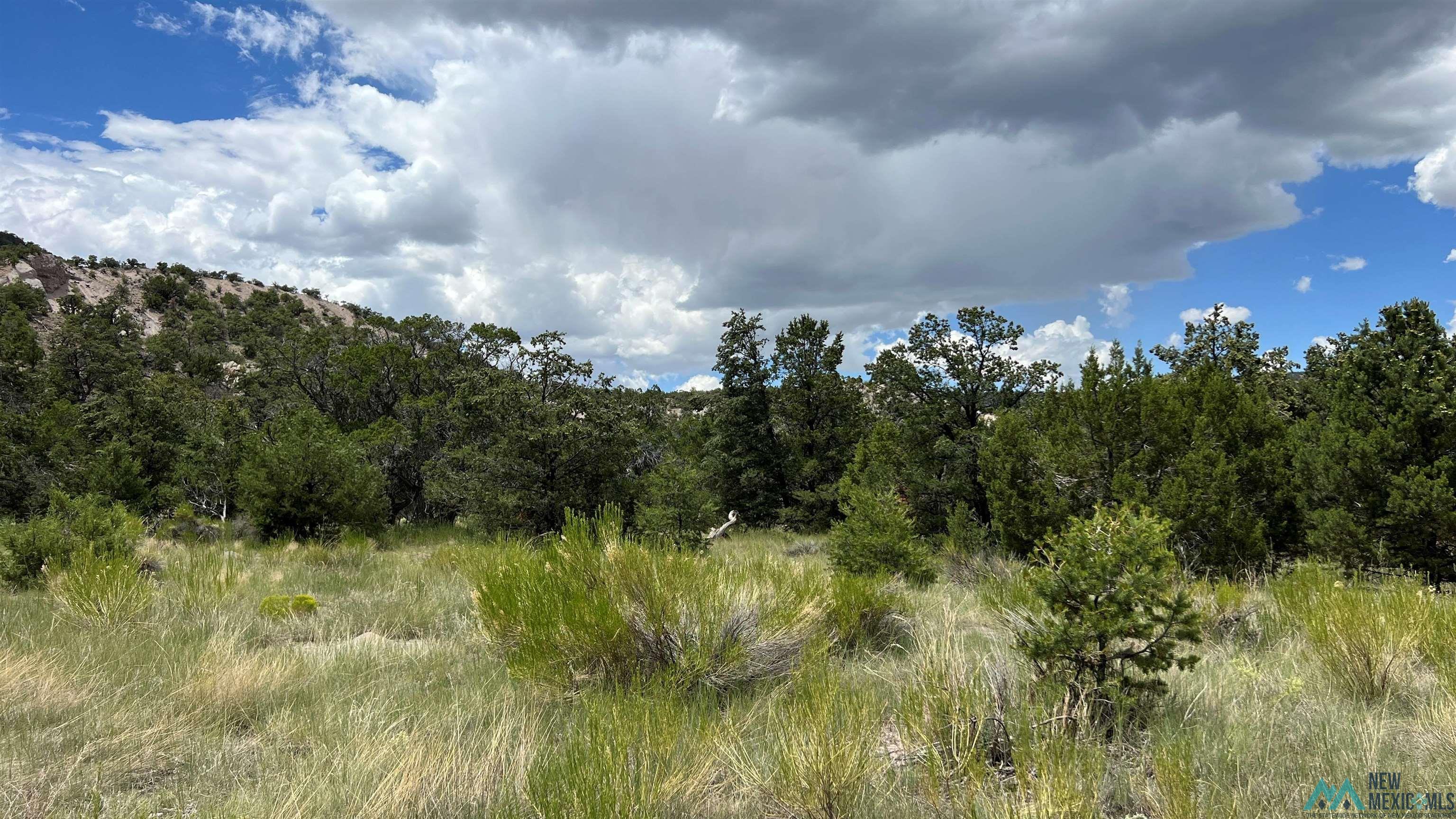 Nm - 603 Road, Quemado, New Mexico image 39