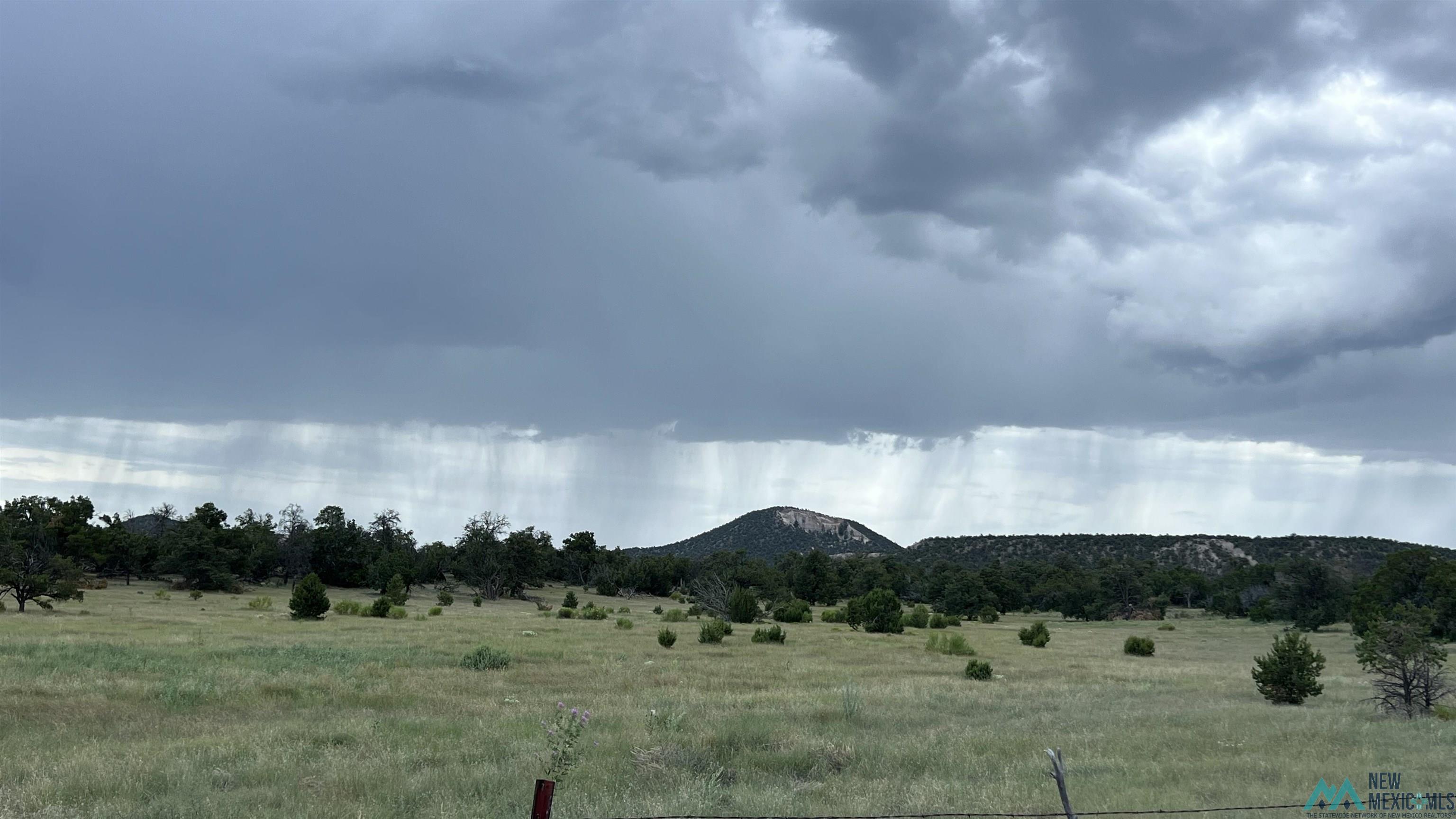 Nm - 603 Road, Quemado, New Mexico image 25