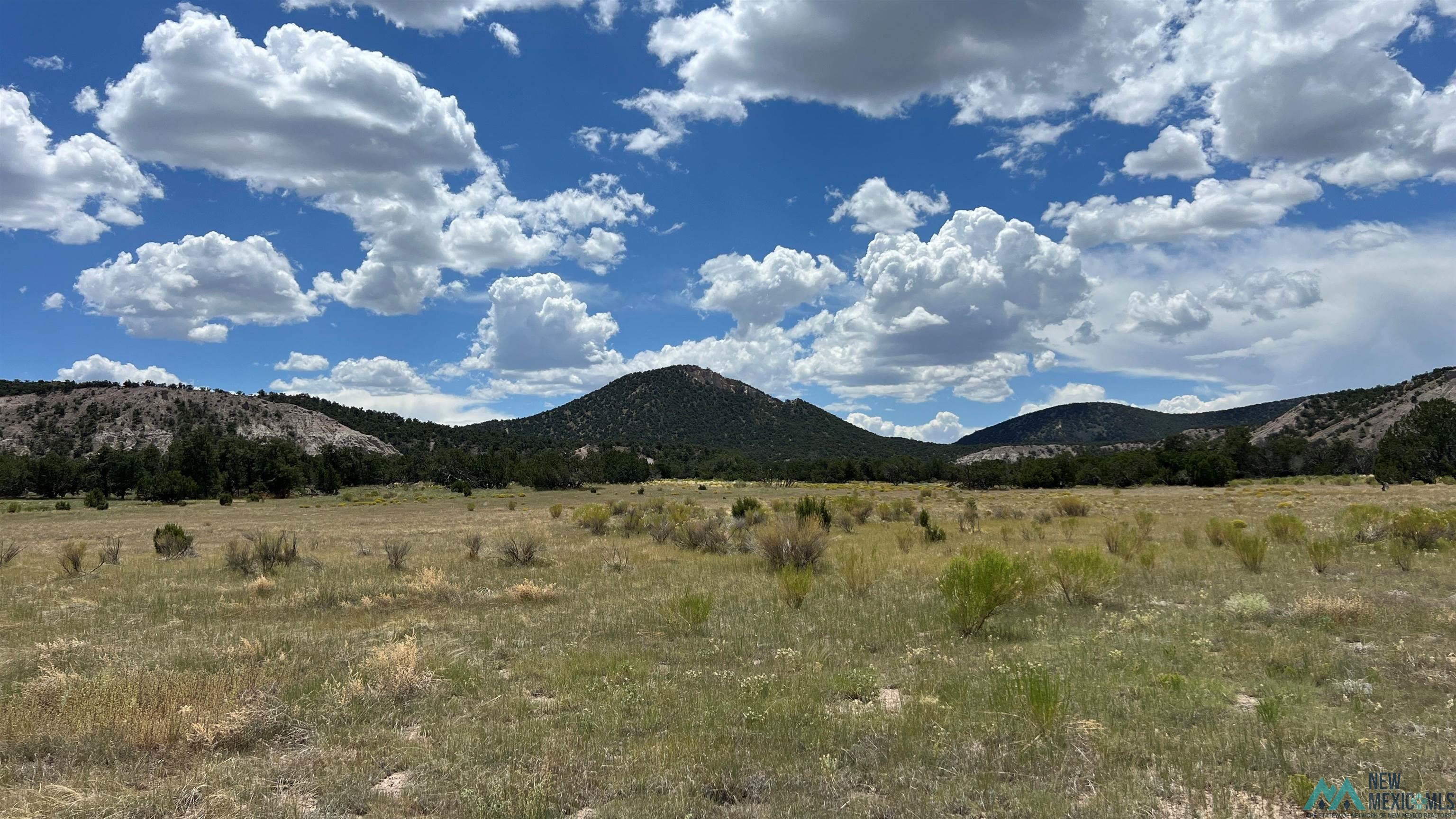 Nm - 603 Road, Quemado, New Mexico image 42