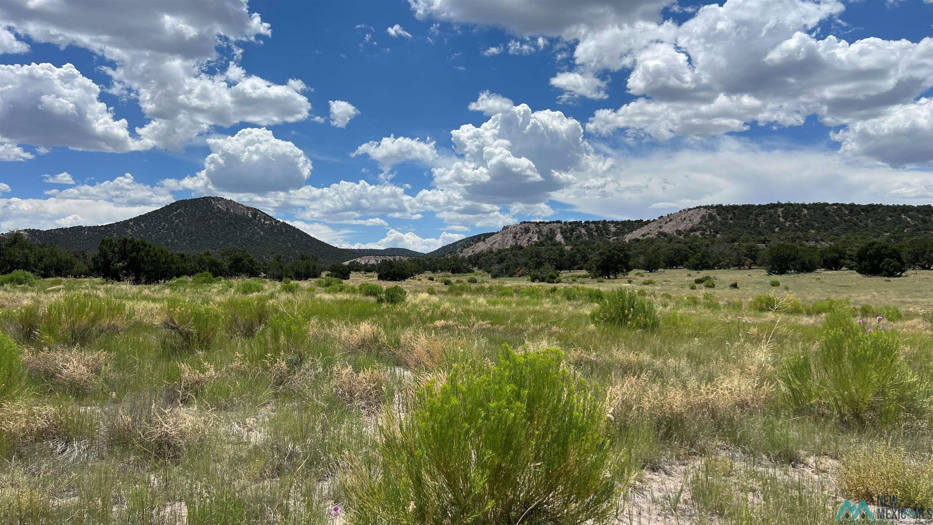 Nm - 603 Road, Quemado, New Mexico image 43