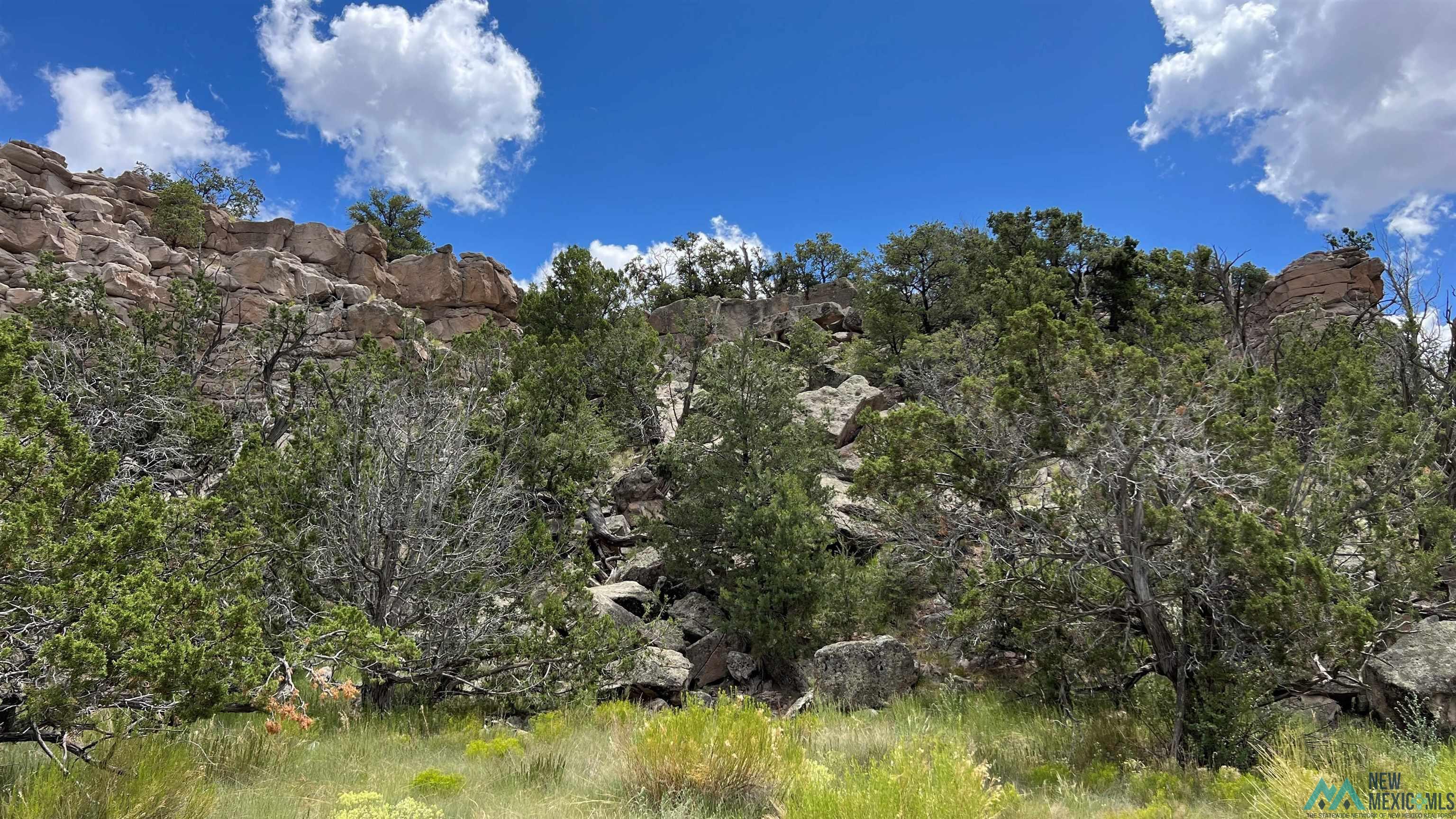 Nm - 603 Road, Quemado, New Mexico image 12