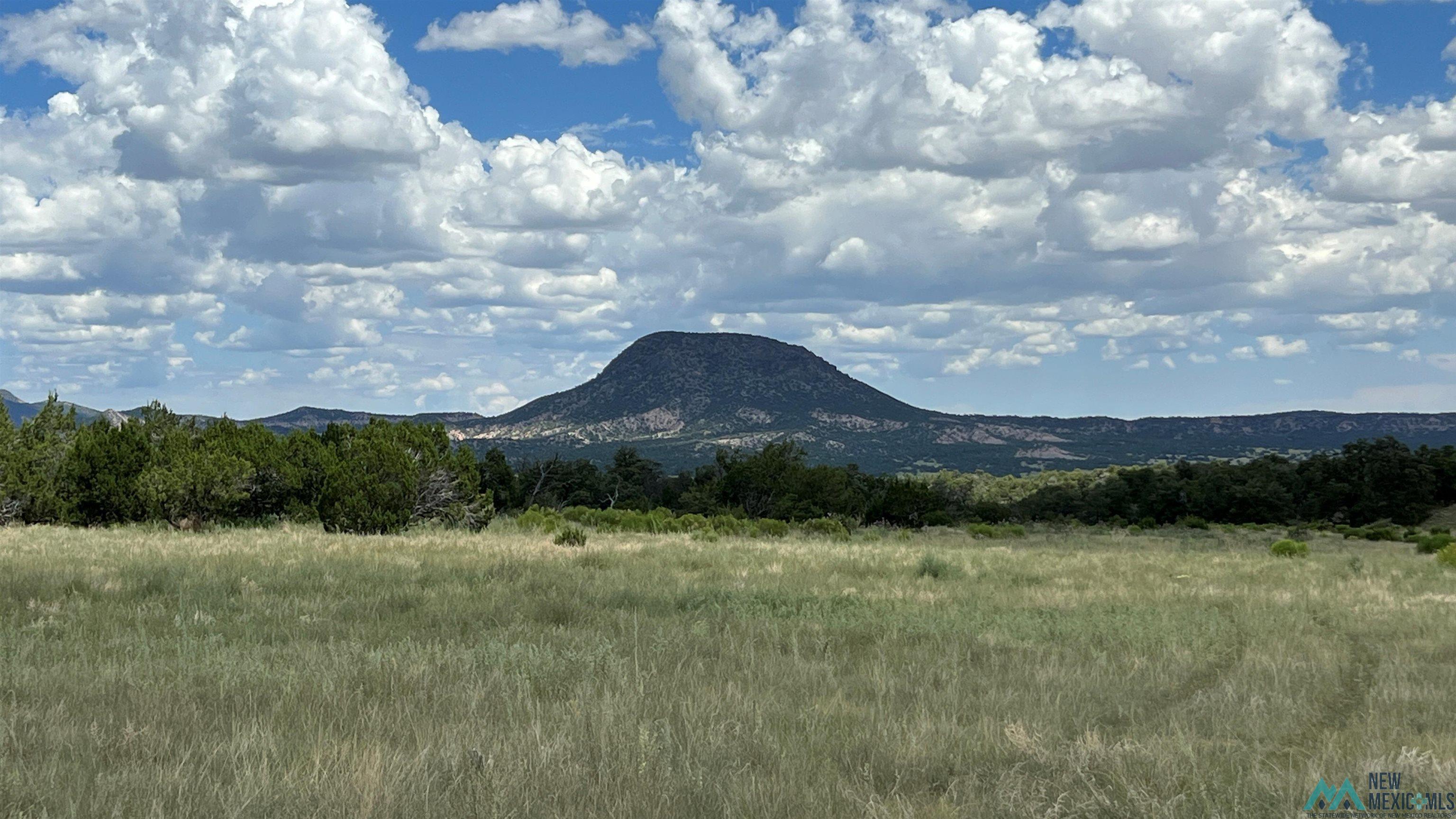 Nm - 603 Road, Quemado, New Mexico image 32