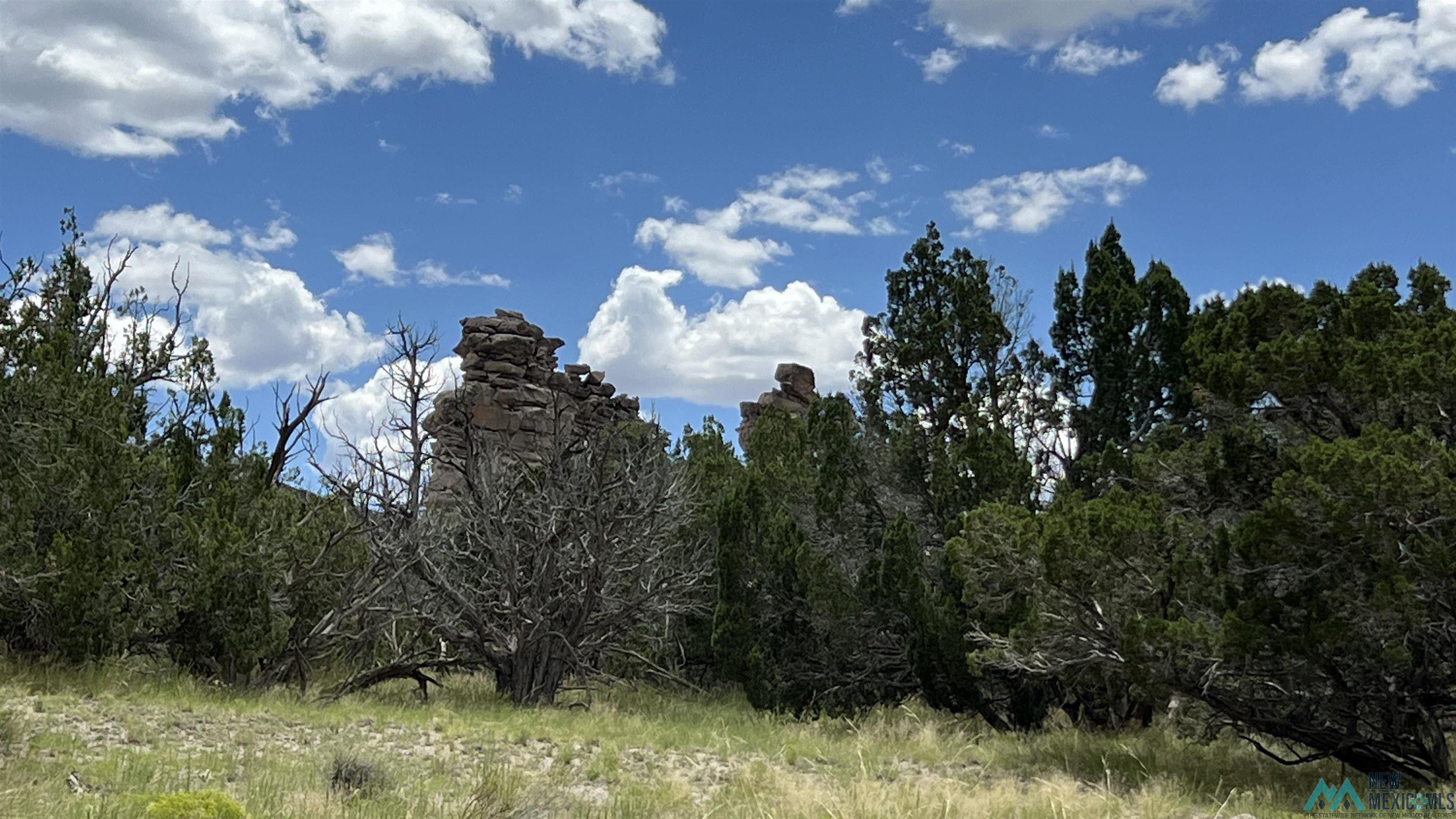 Nm - 603 Road, Quemado, New Mexico image 38