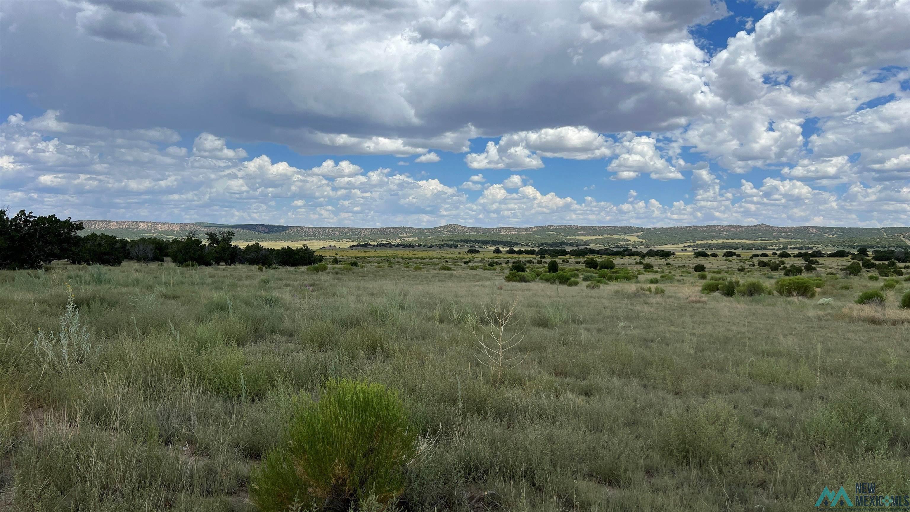 Nm - 603 Road, Quemado, New Mexico image 40