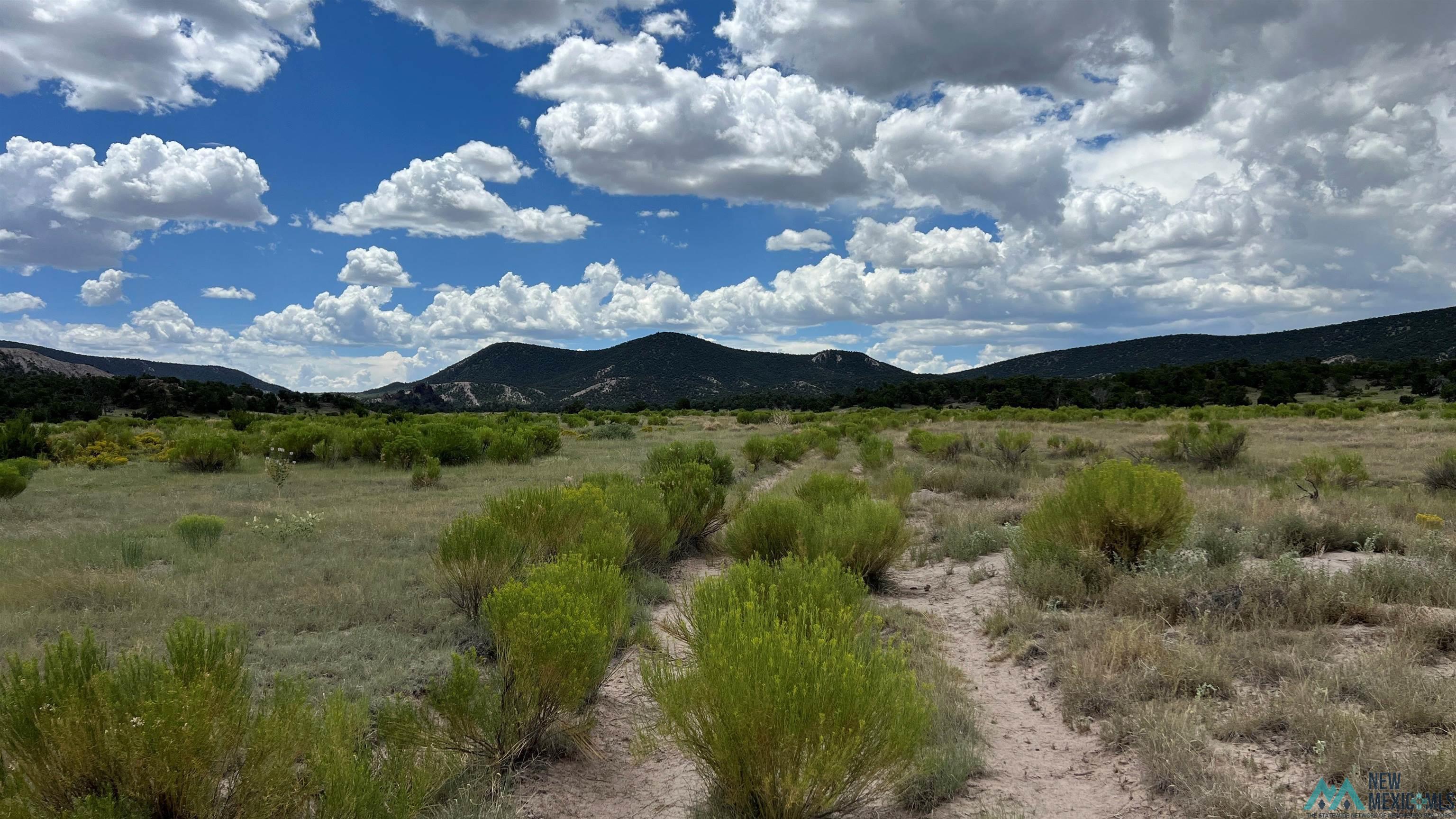 Nm - 603 Road, Quemado, New Mexico image 33