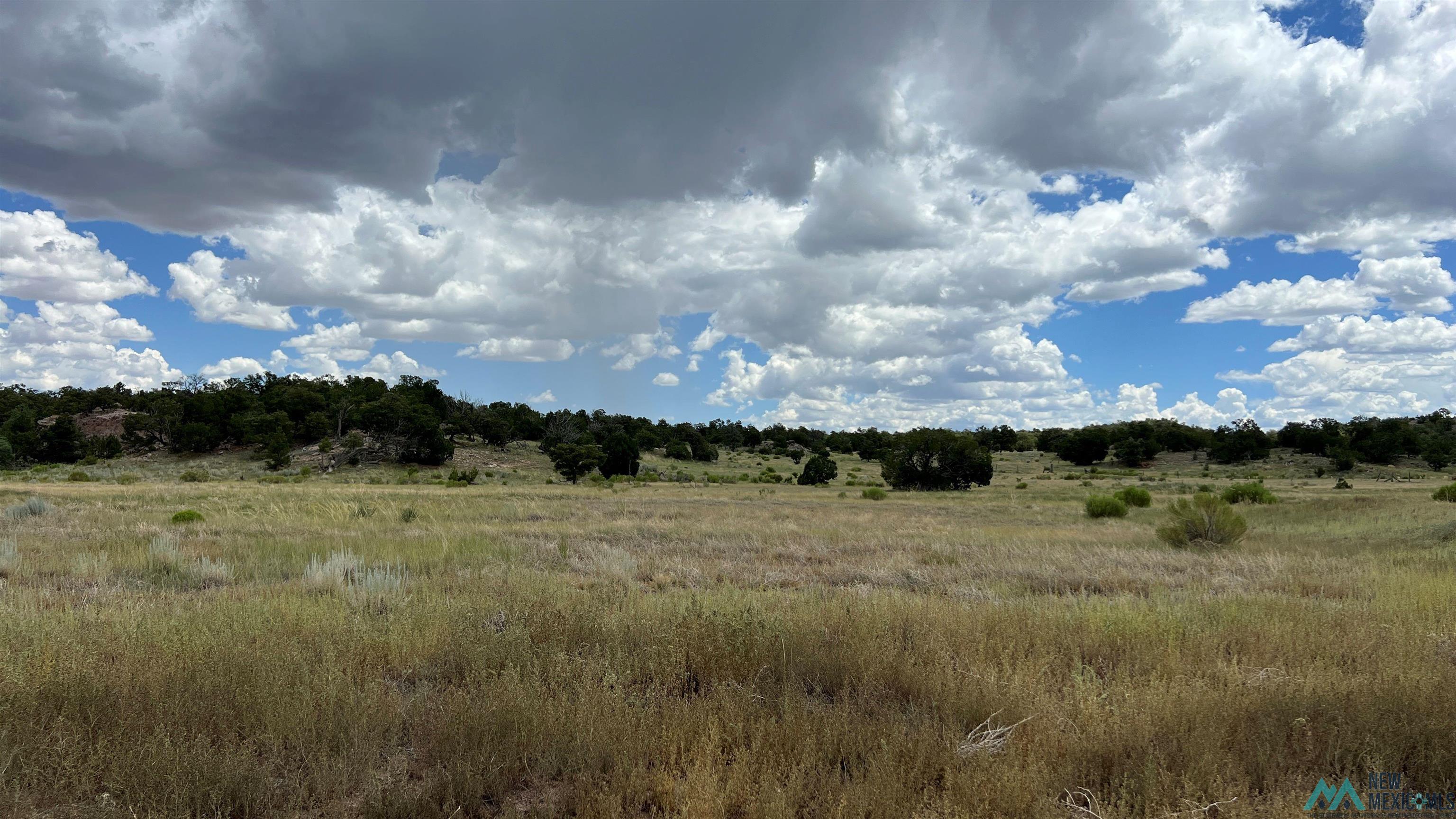 Nm - 603 Road, Quemado, New Mexico image 34