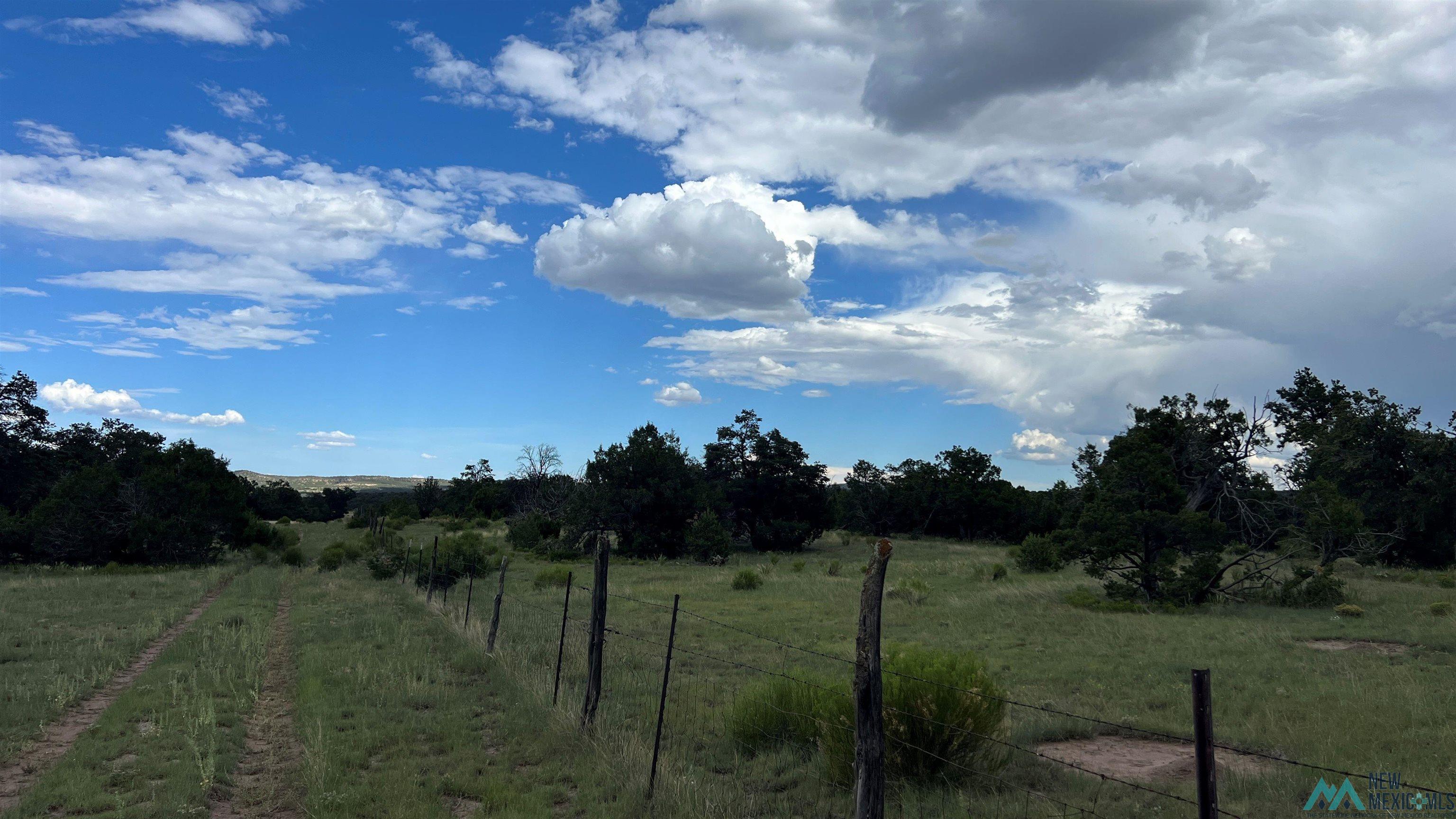 Nm - 603 Road, Quemado, New Mexico image 6