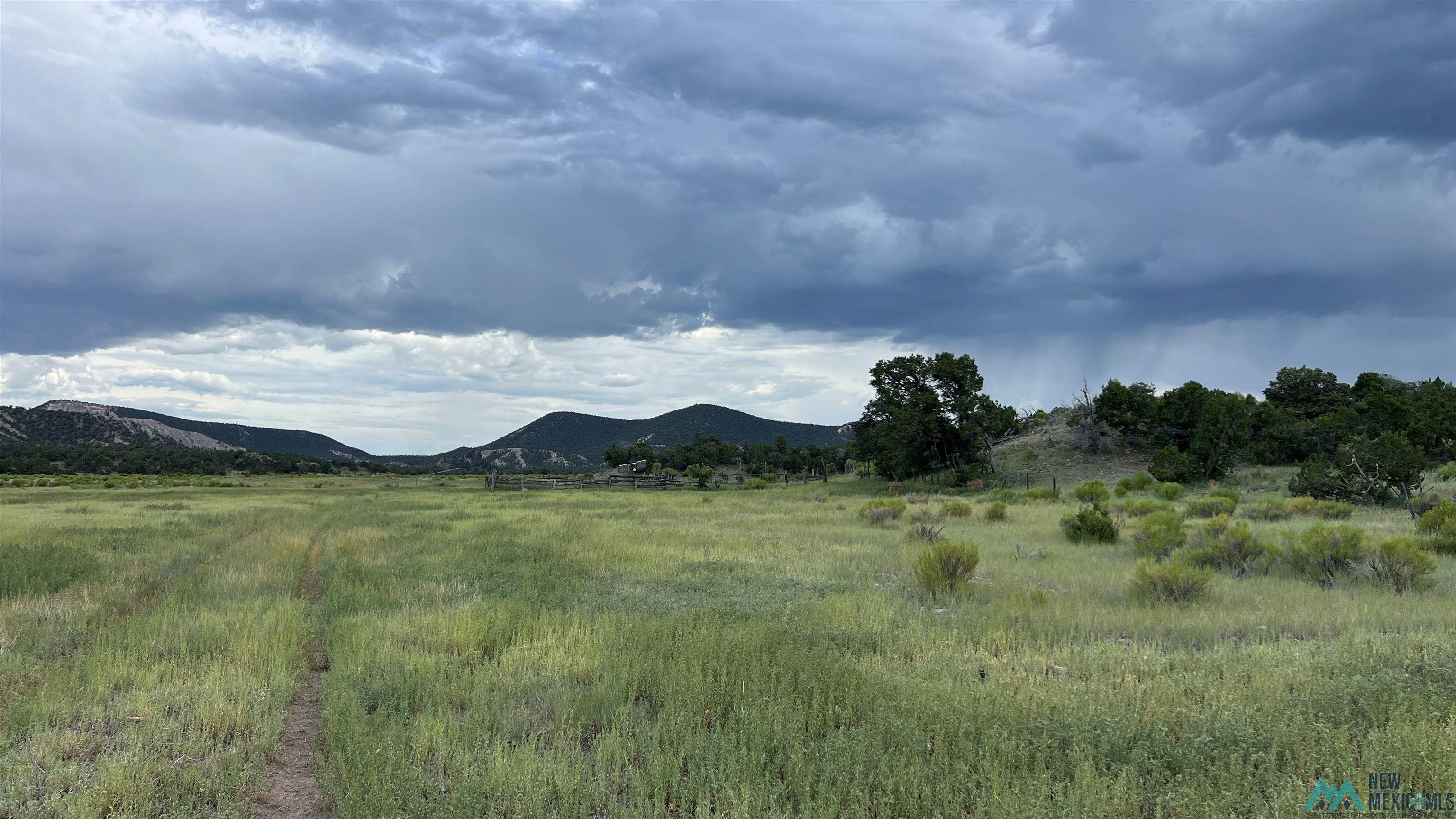 Nm - 603 Road, Quemado, New Mexico image 1