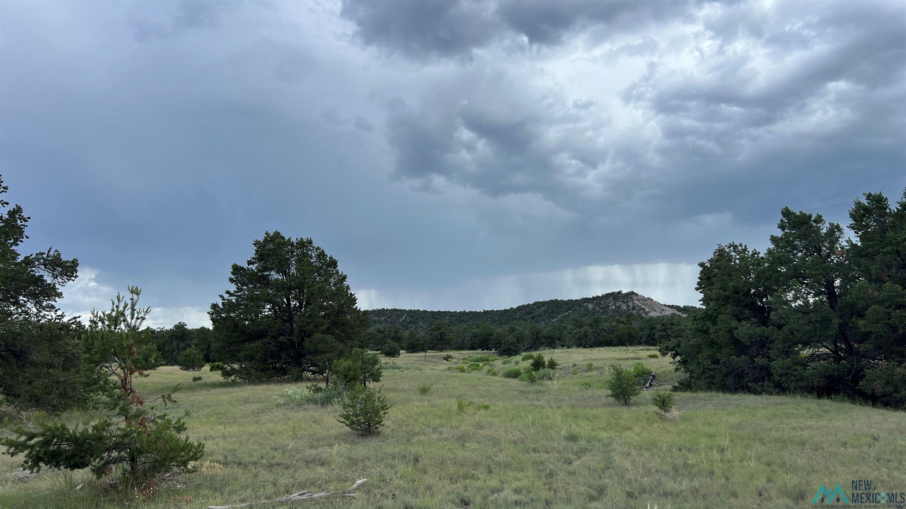 Nm - 603 Road, Quemado, New Mexico image 23