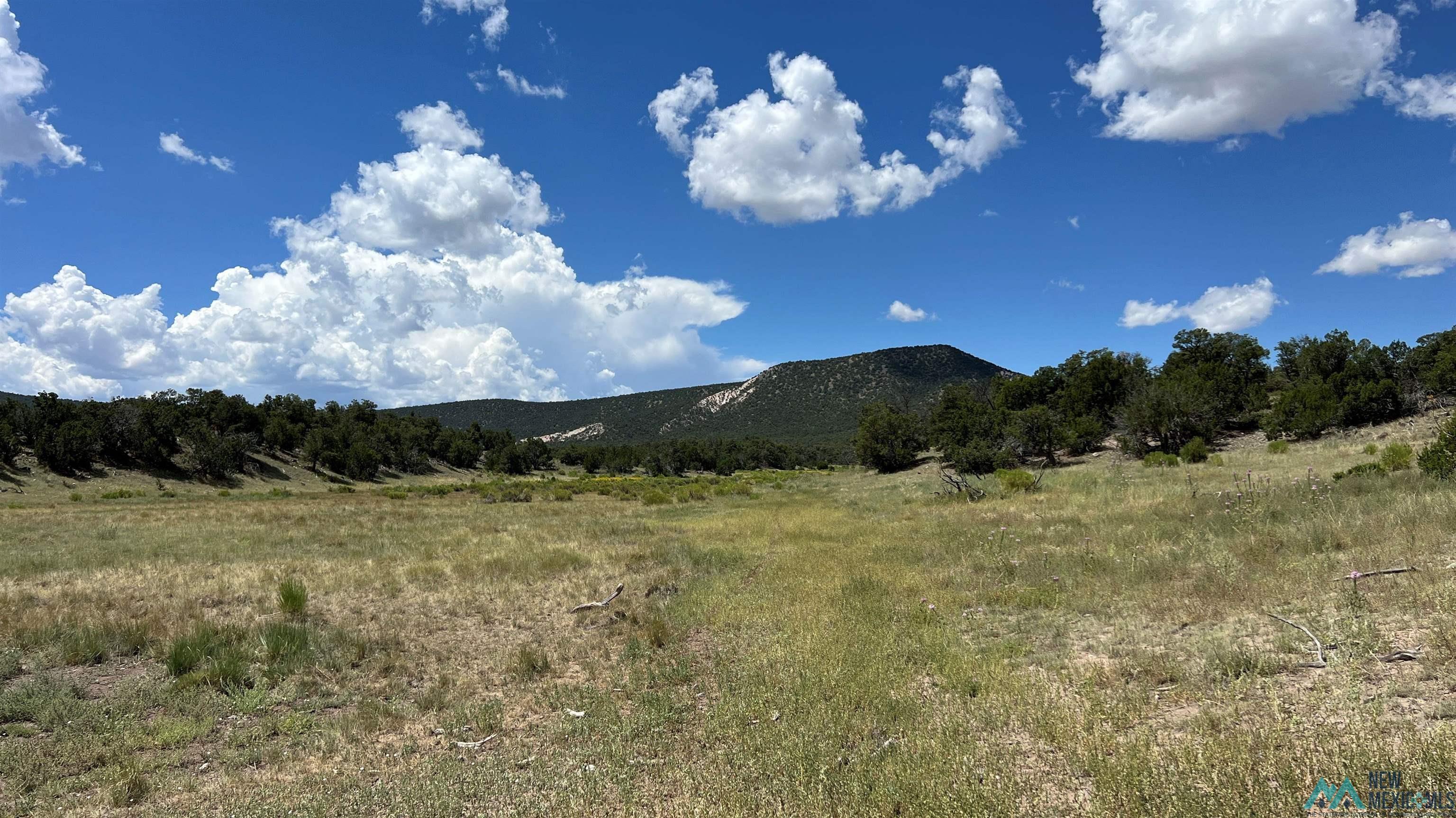 Nm - 603 Road, Quemado, New Mexico image 27