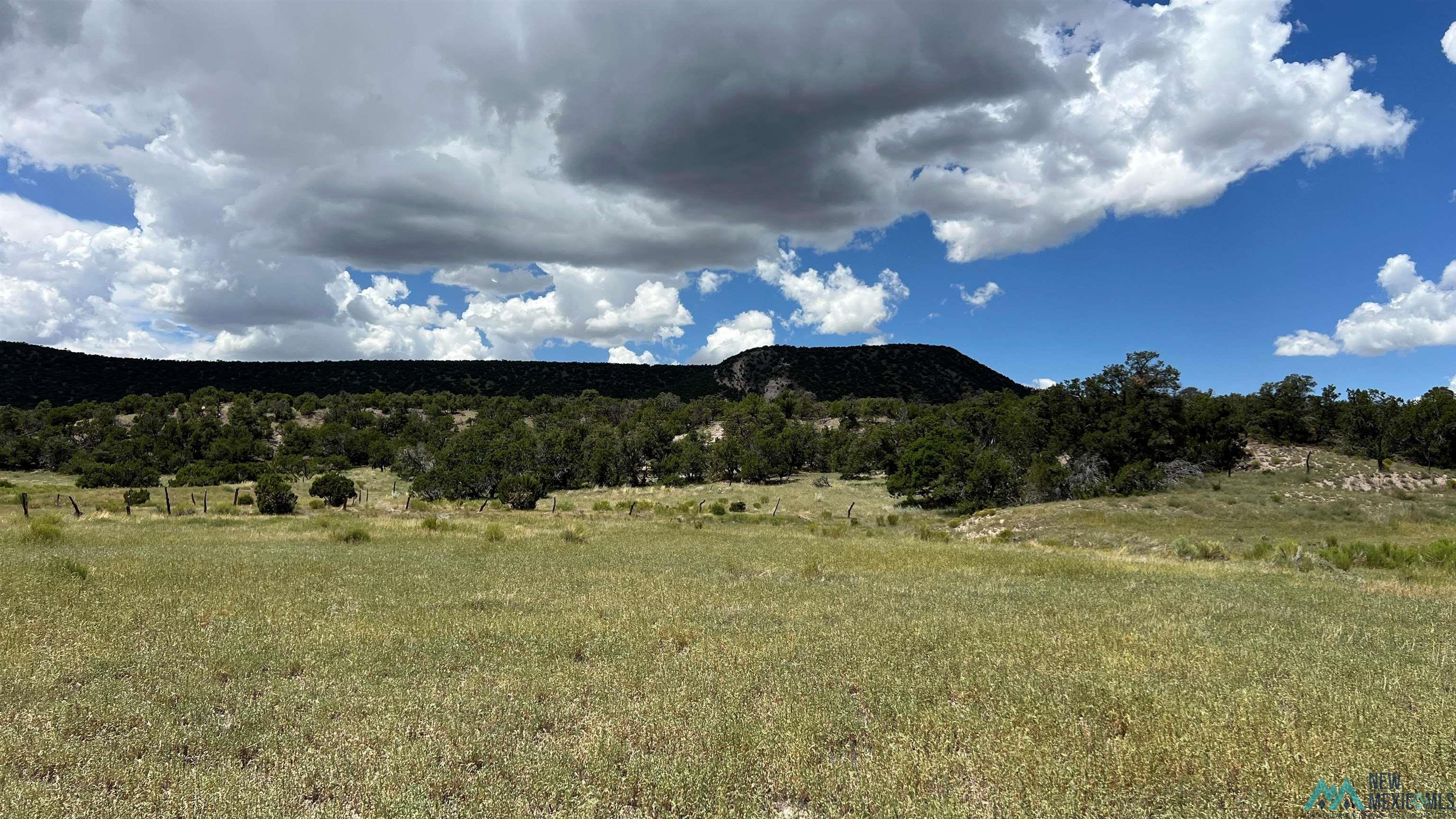 Nm - 603 Road, Quemado, New Mexico image 37