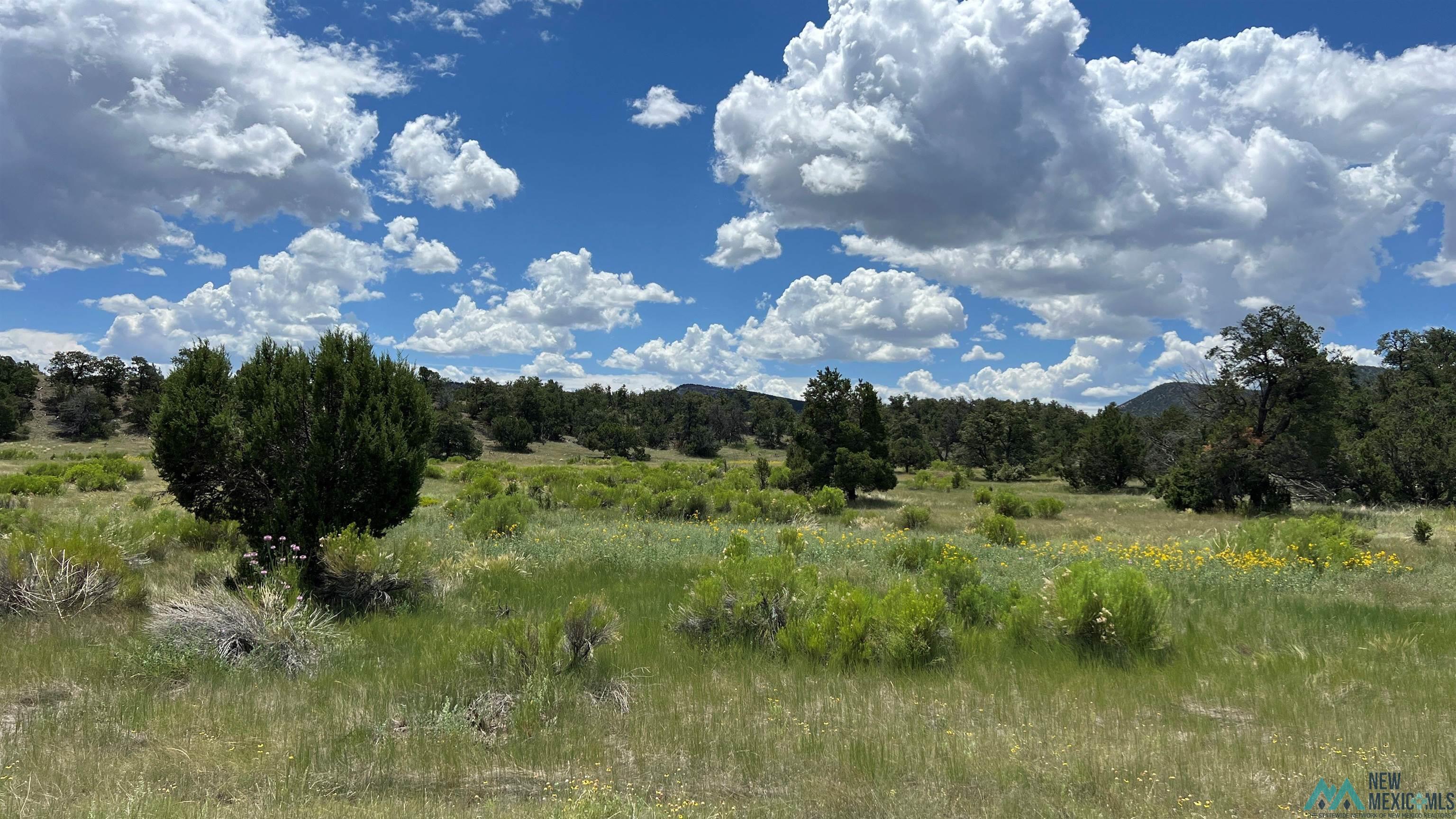 Nm - 603 Road, Quemado, New Mexico image 29