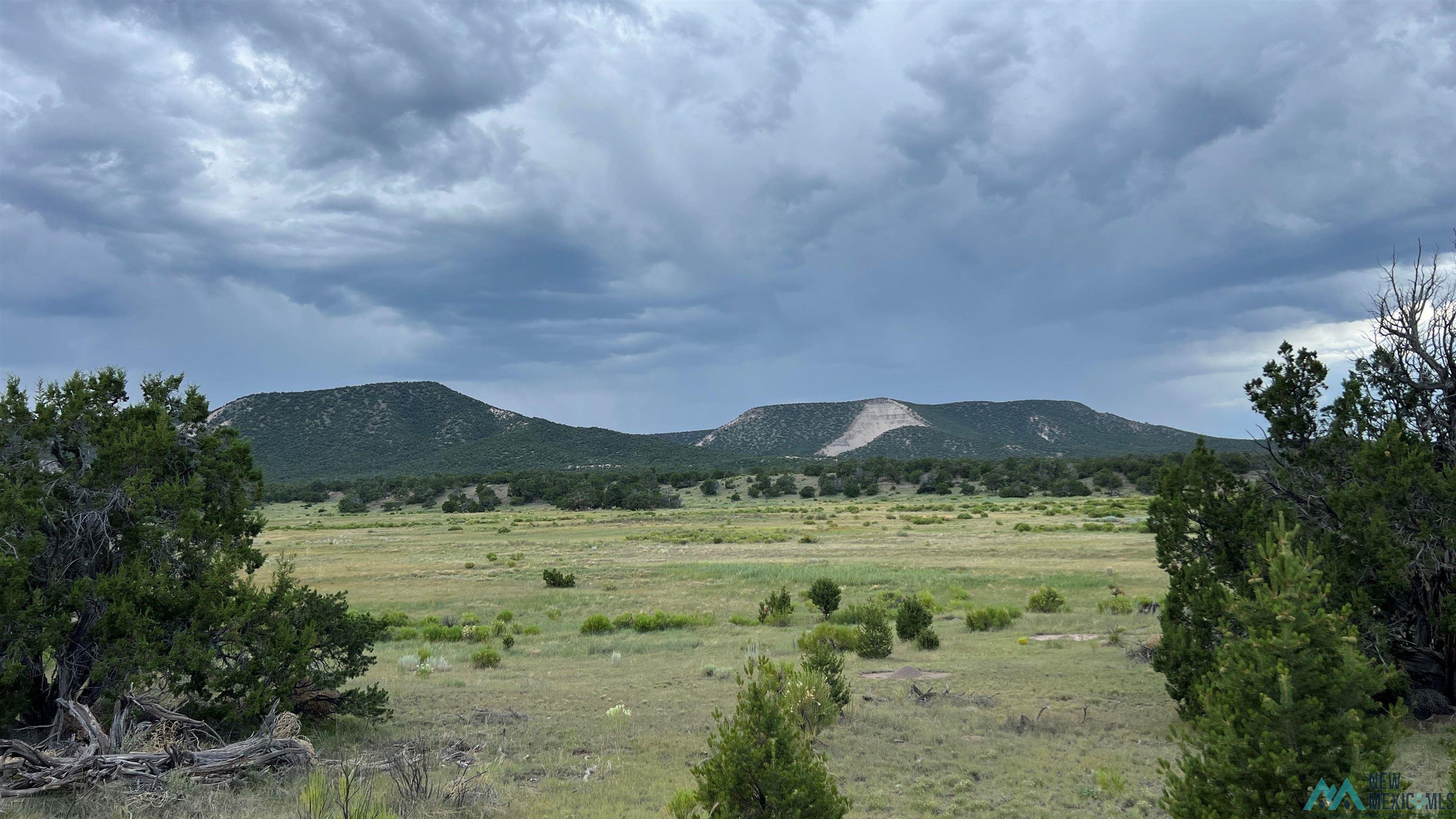 Nm - 603 Road, Quemado, New Mexico image 21