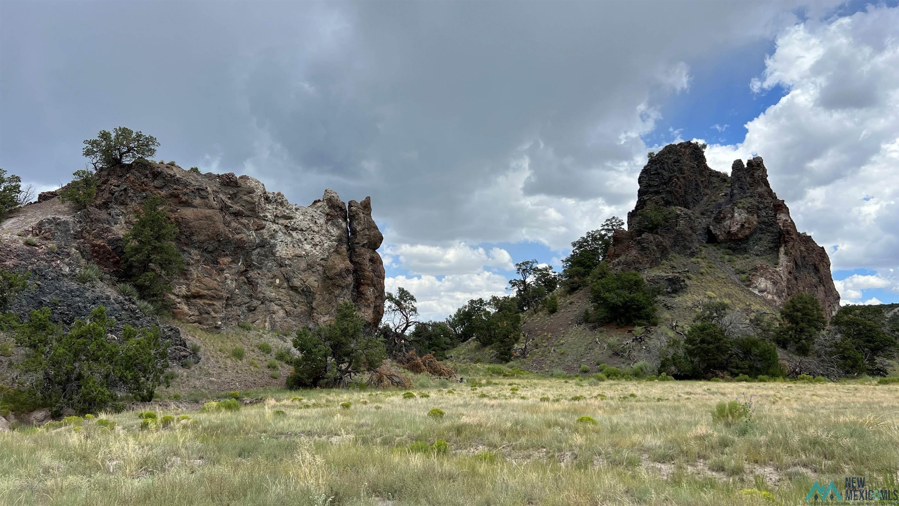 Nm - 603 Road, Quemado, New Mexico image 9