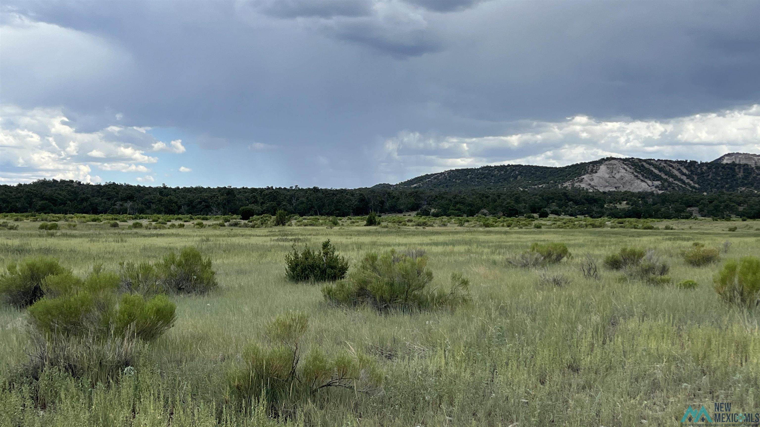 Nm - 603 Road, Quemado, New Mexico image 19