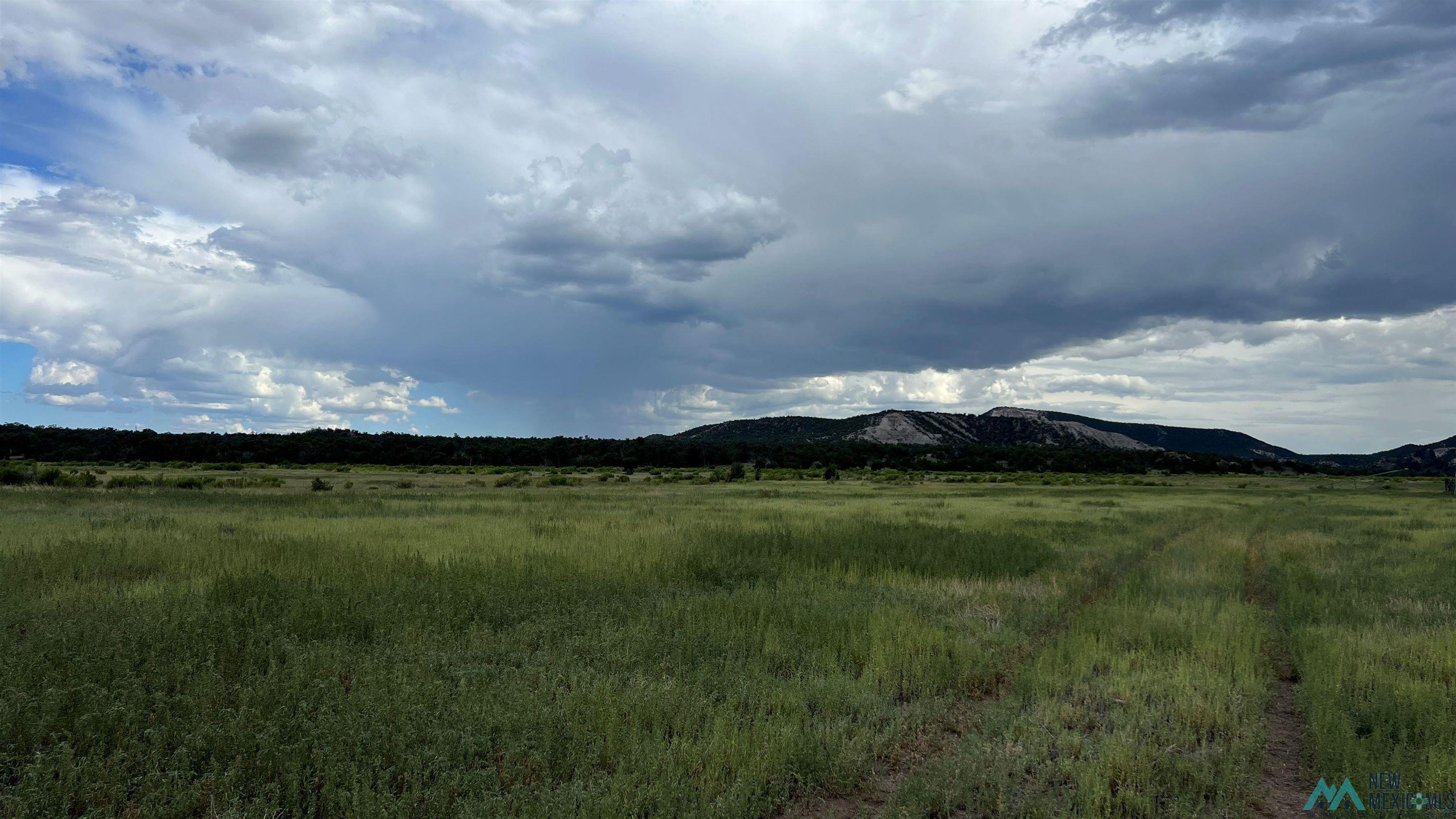 Nm - 603 Road, Quemado, New Mexico image 17