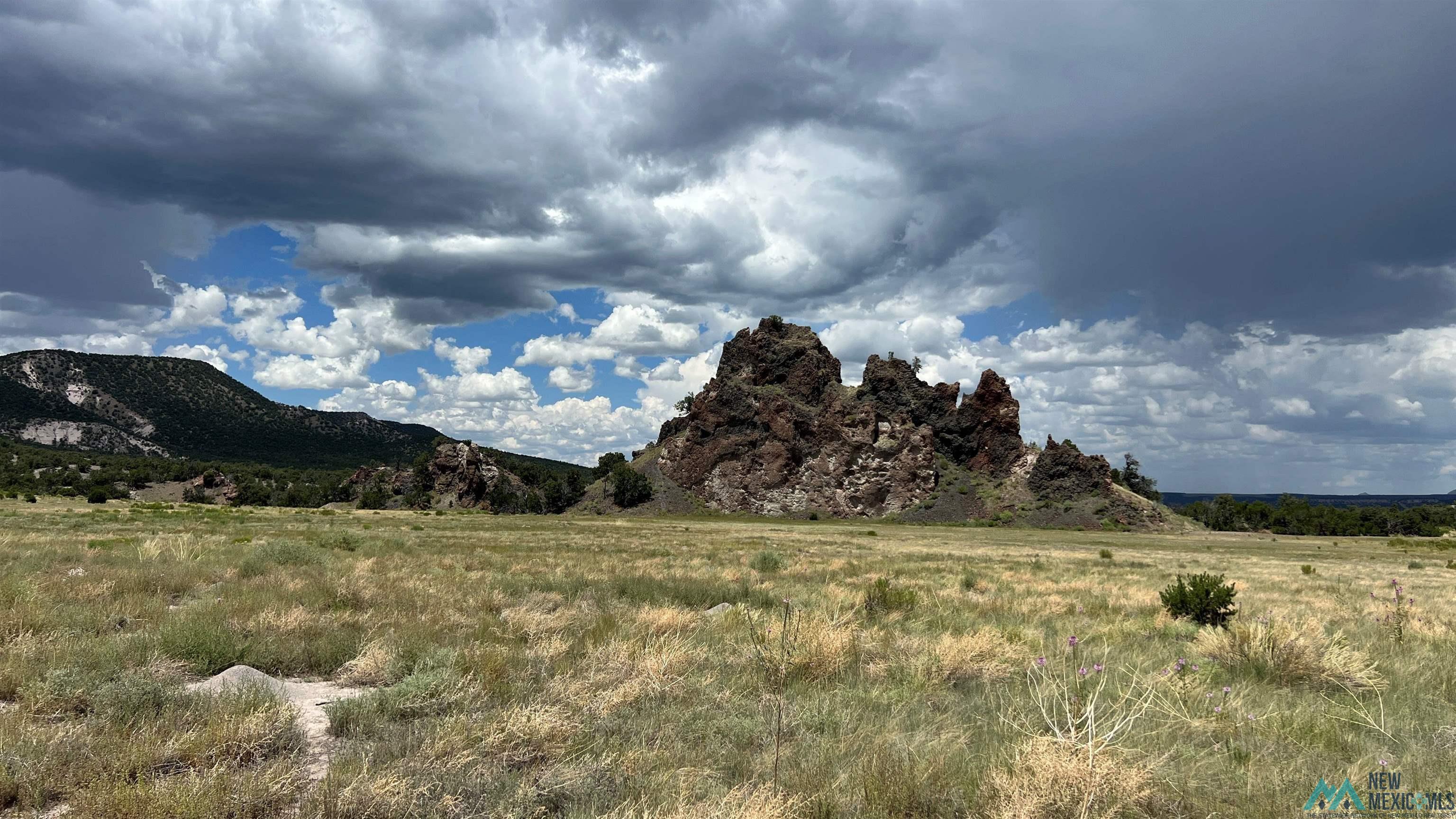 Nm - 603 Road, Quemado, New Mexico image 8