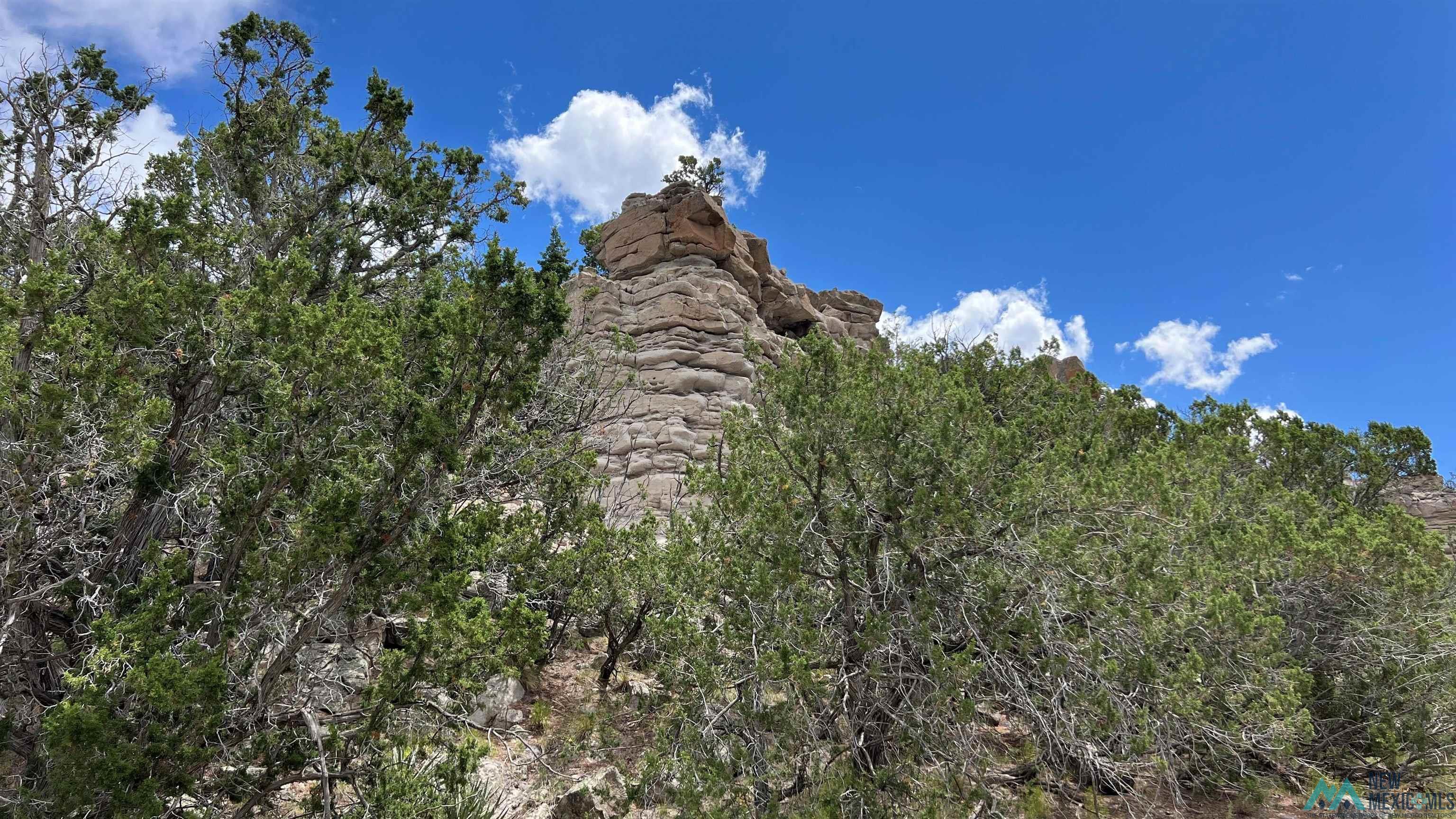 Nm - 603 Road, Quemado, New Mexico image 13