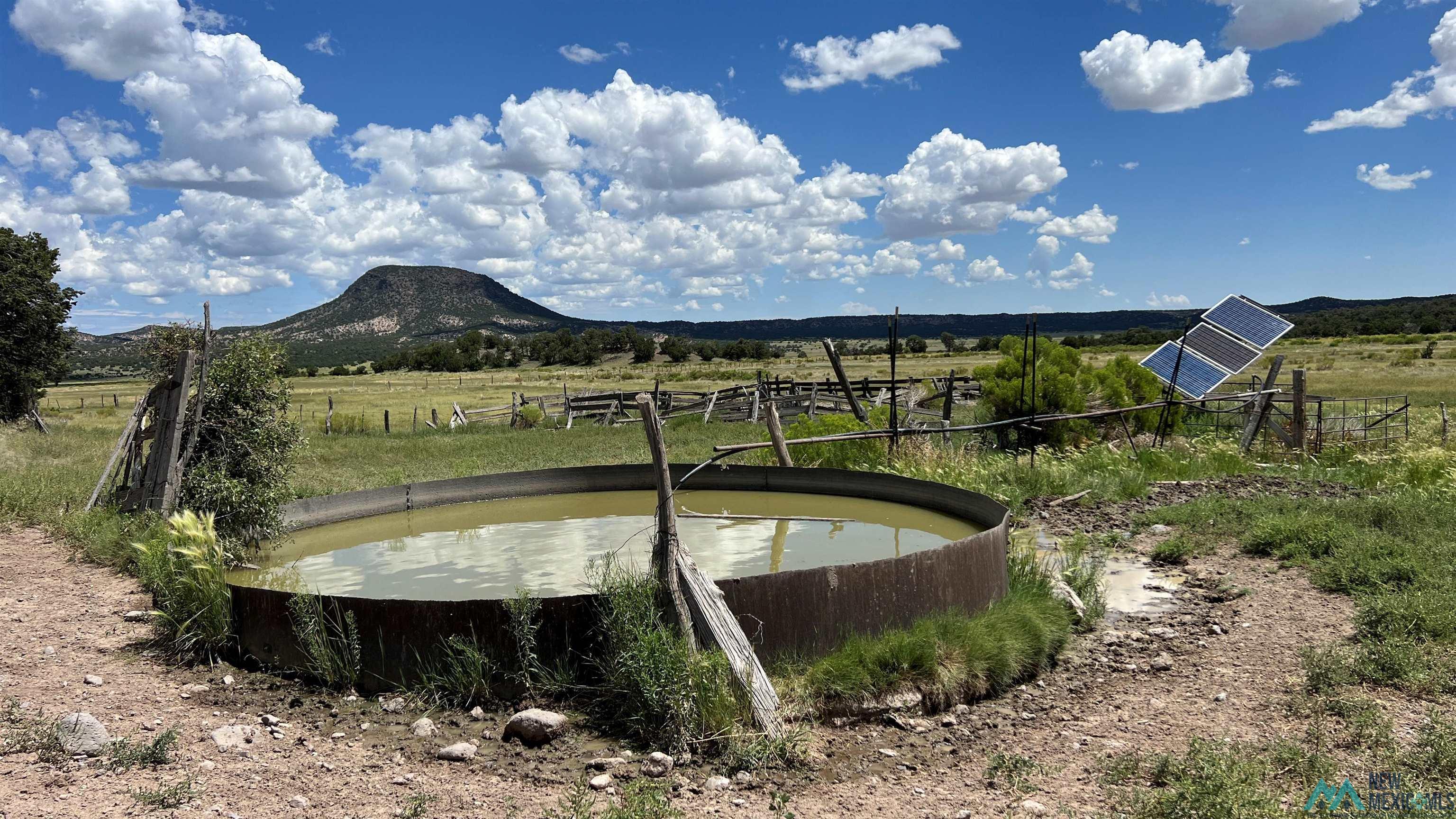 Nm - 603 Road, Quemado, New Mexico image 3