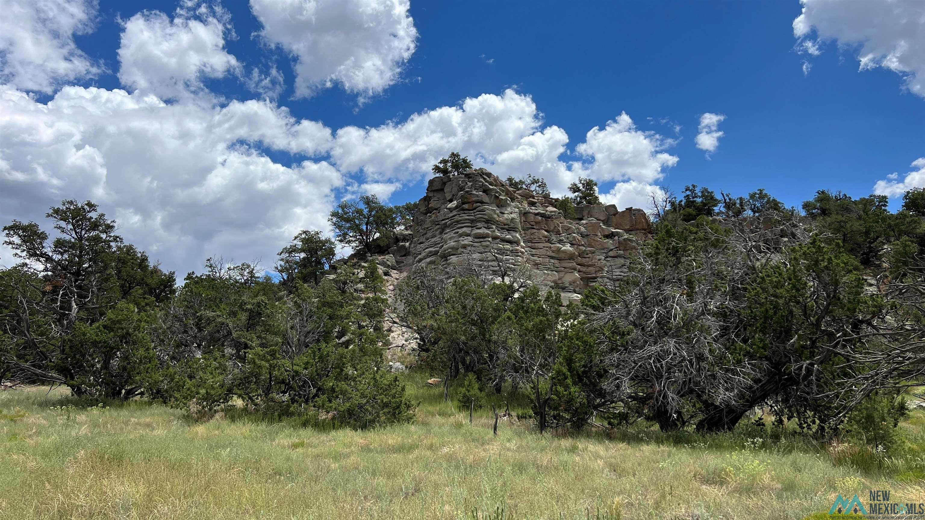 Nm - 603 Road, Quemado, New Mexico image 11