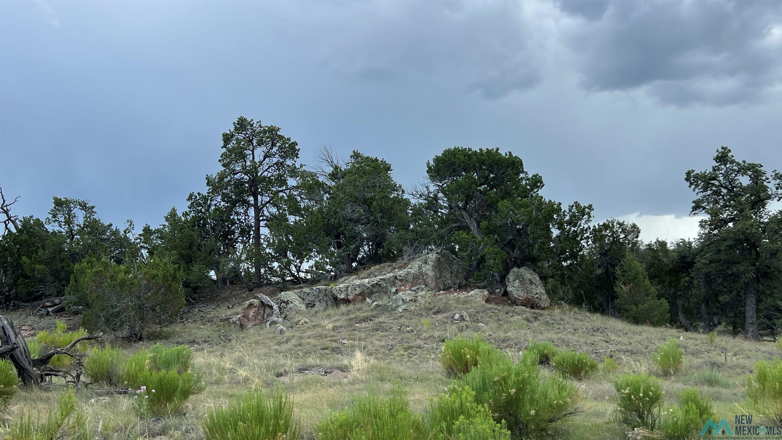 Nm - 603 Road, Quemado, New Mexico image 24