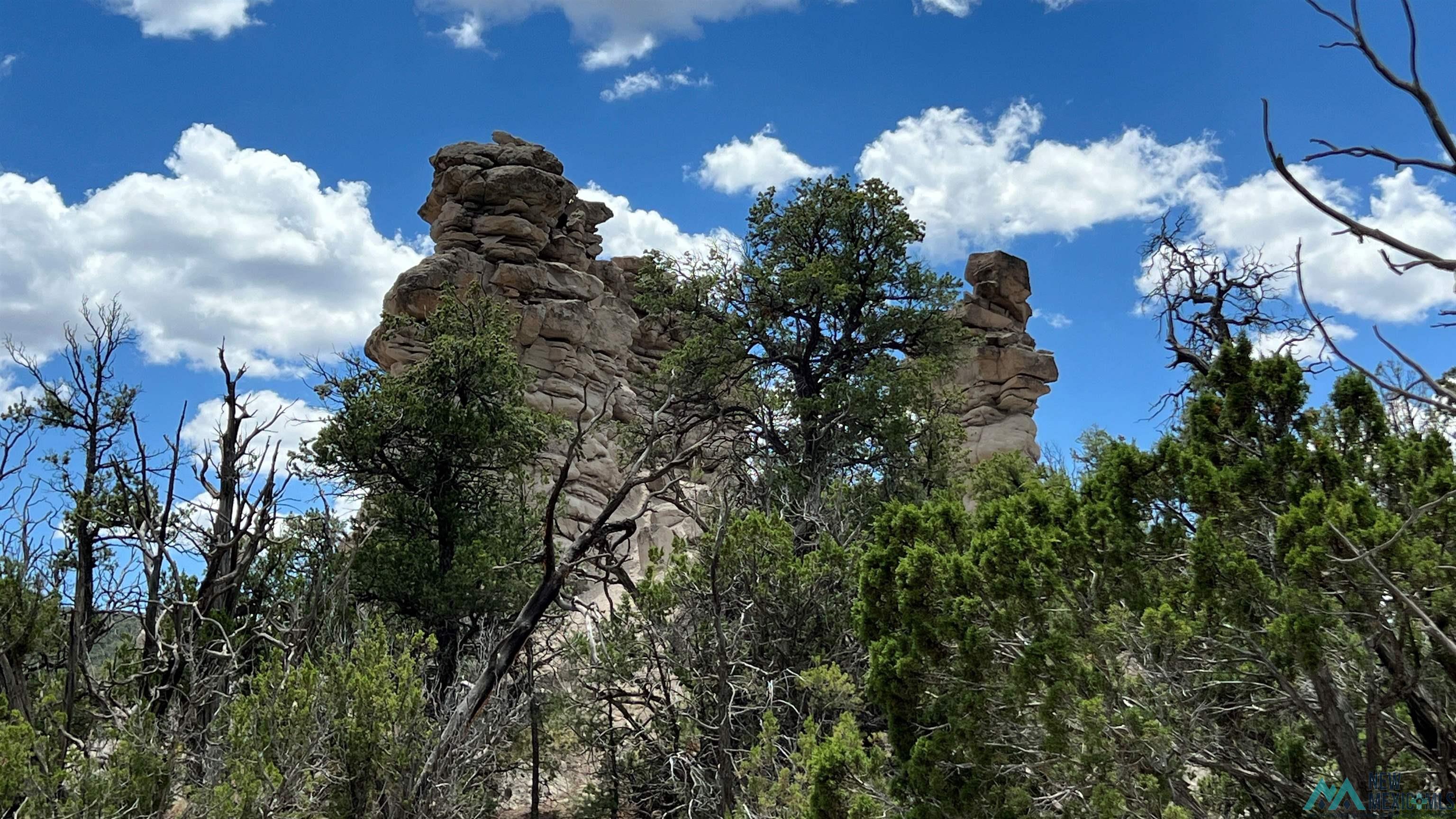 Nm - 603 Road, Quemado, New Mexico image 14