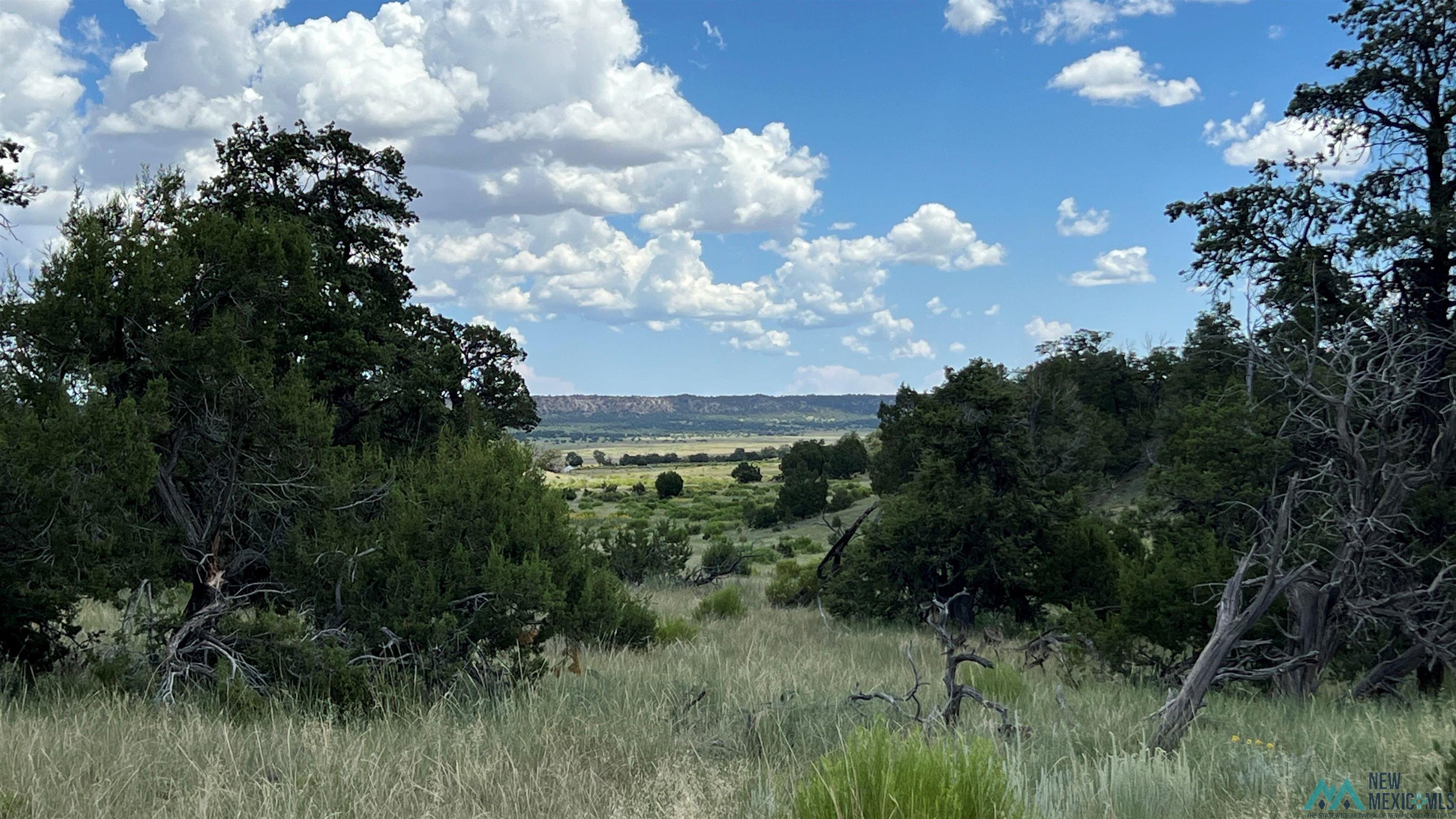 Nm - 603 Road, Quemado, New Mexico image 30