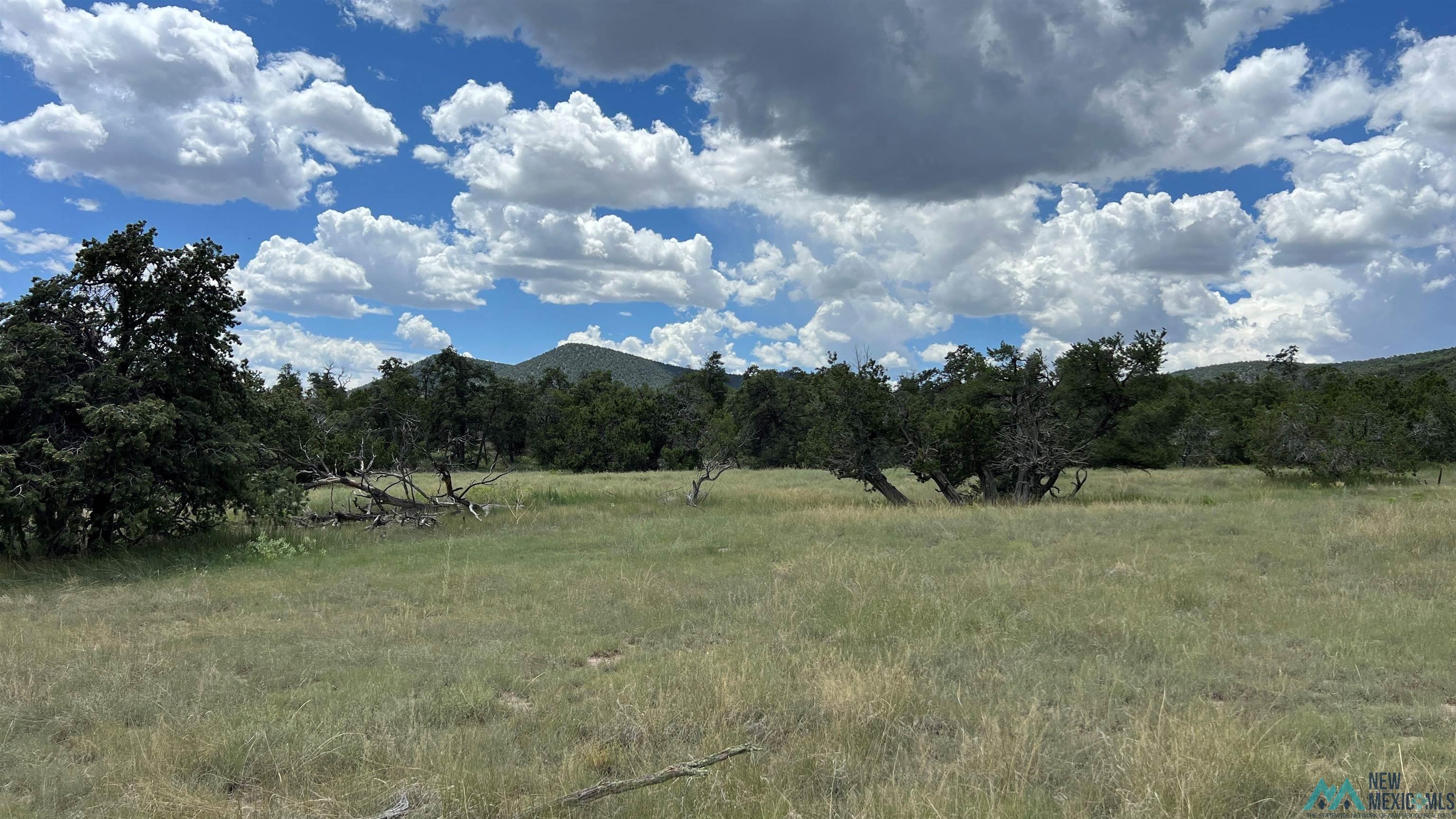 Nm - 603 Road, Quemado, New Mexico image 31