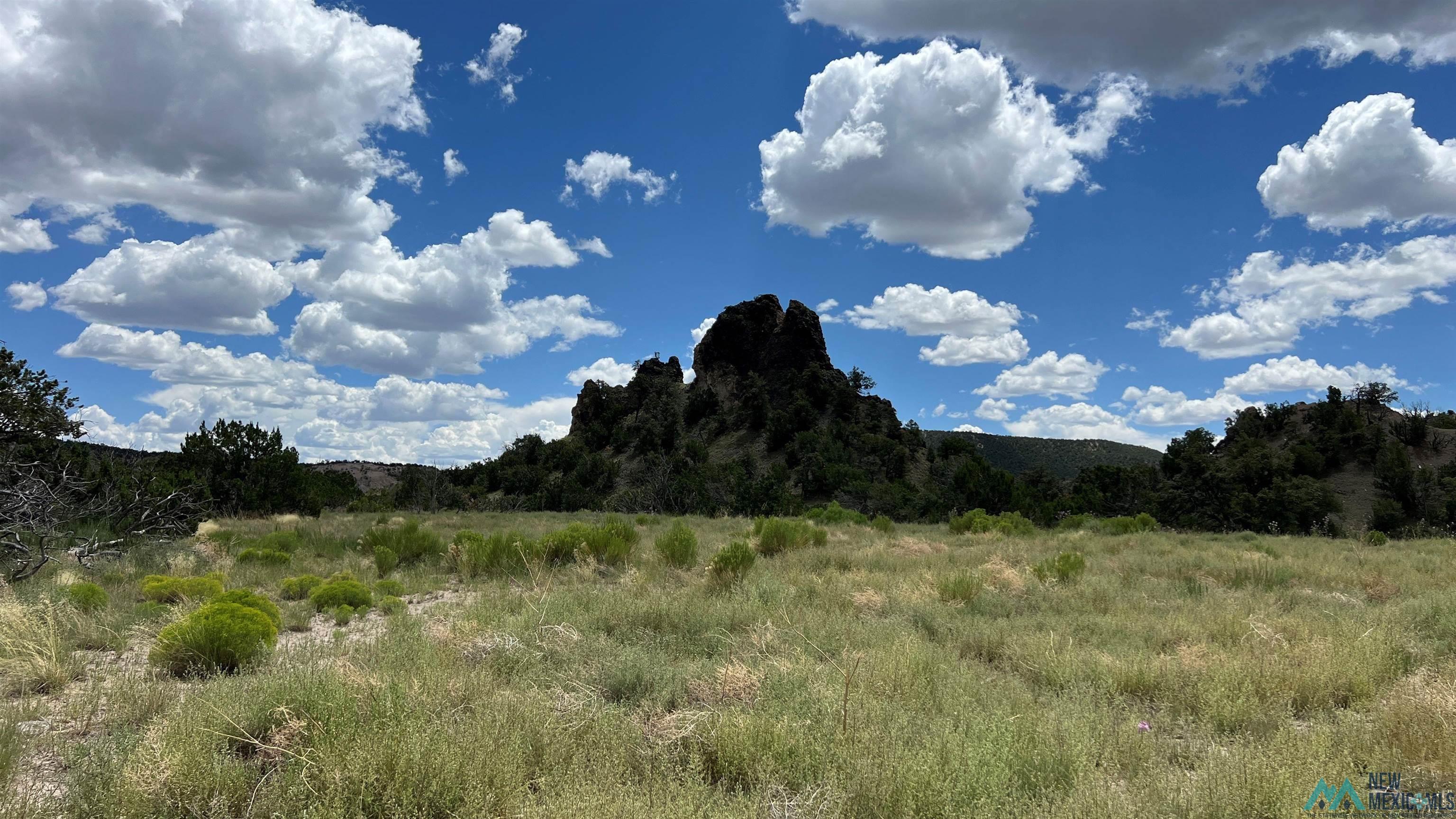 Nm - 603 Road, Quemado, New Mexico image 7