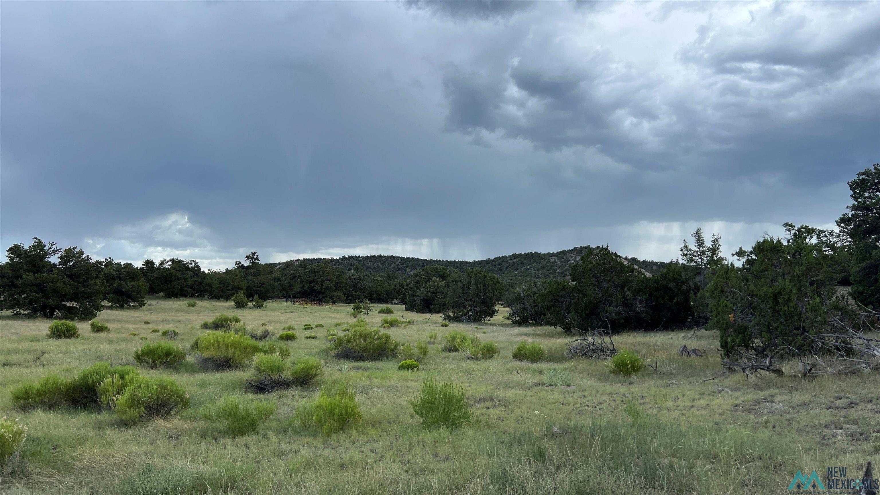 Nm - 603 Road, Quemado, New Mexico image 22