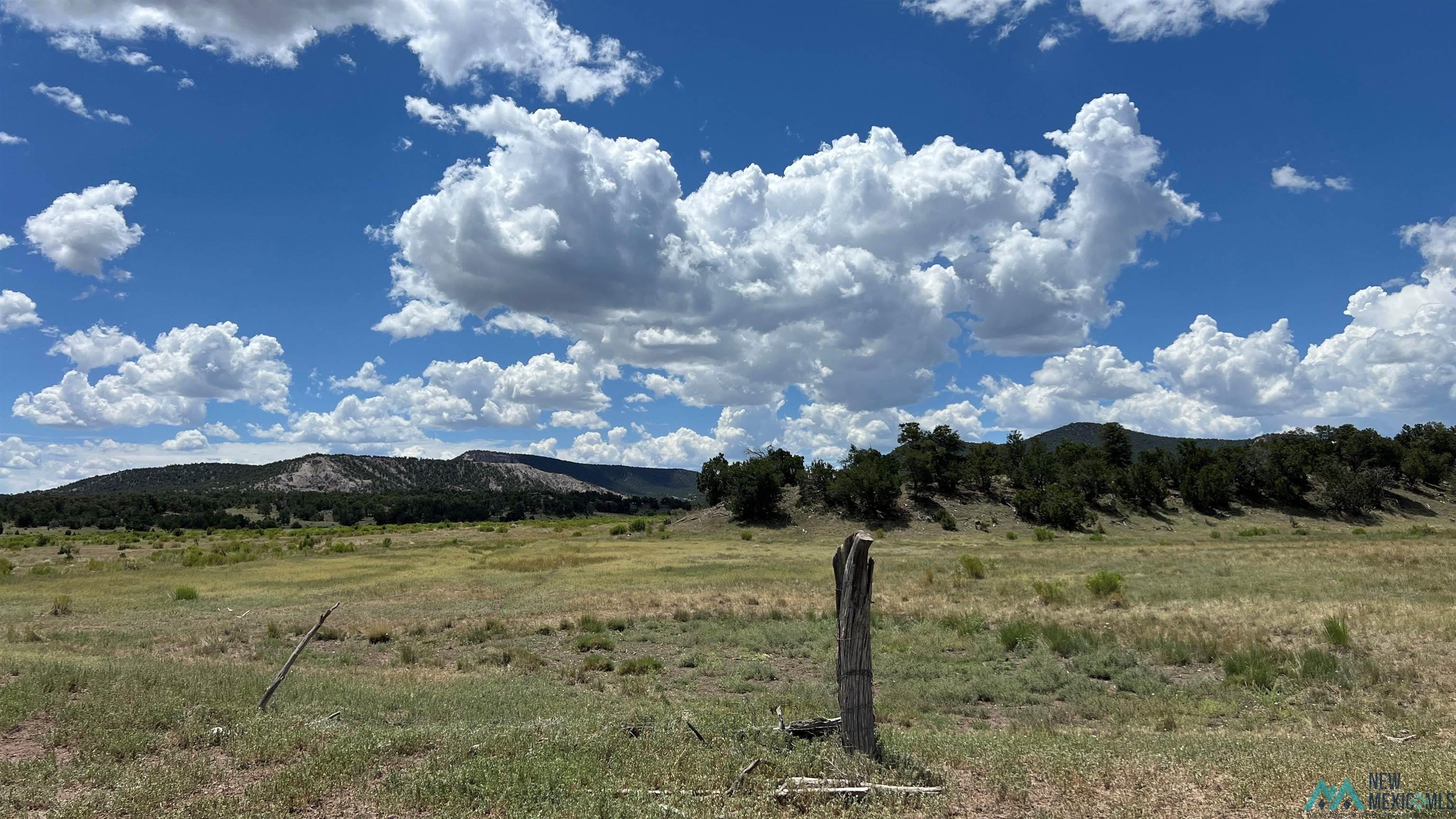 Nm - 603 Road, Quemado, New Mexico image 26