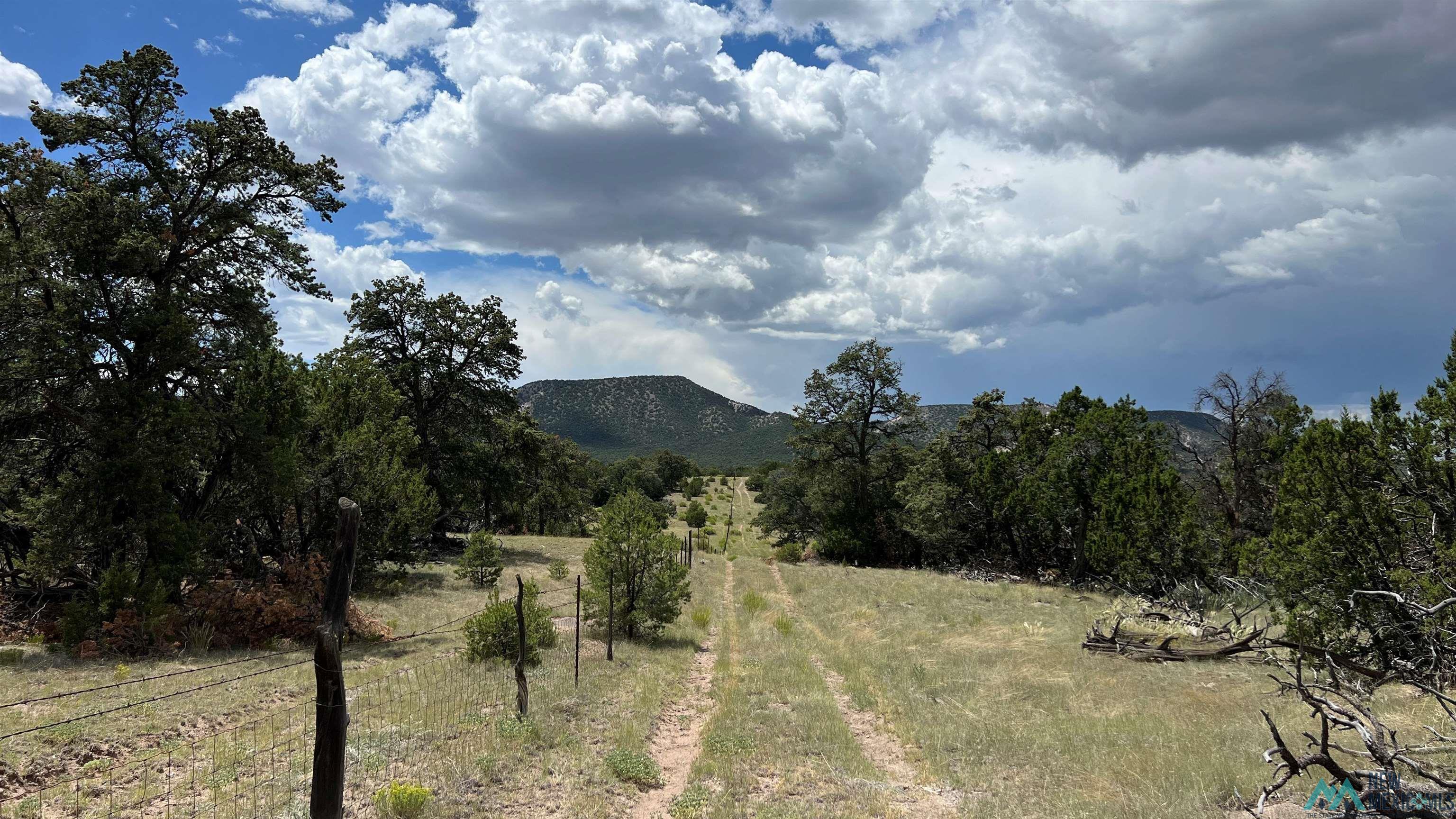 Nm - 603 Road, Quemado, New Mexico image 45