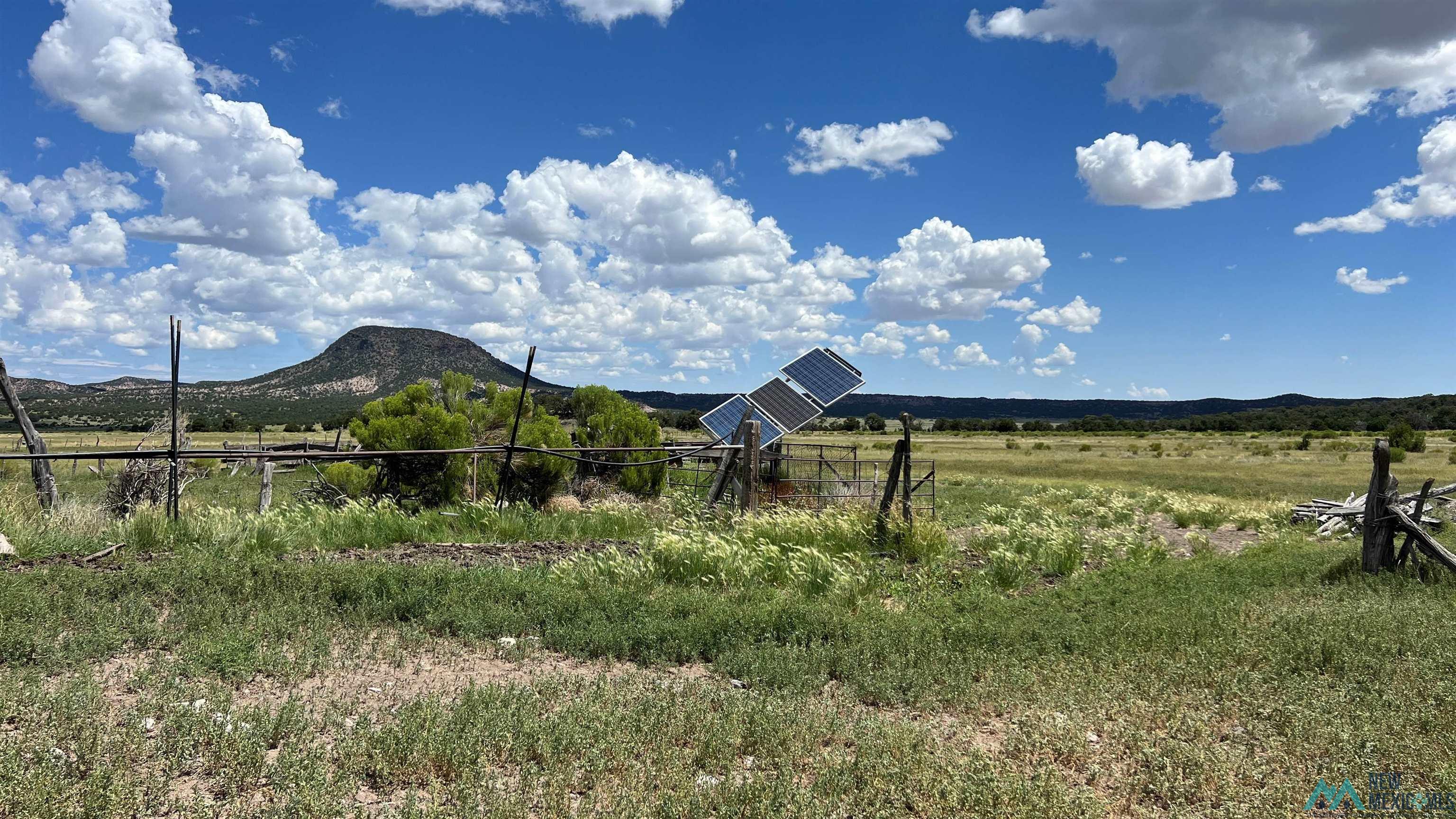 Nm - 603 Road, Quemado, New Mexico image 2