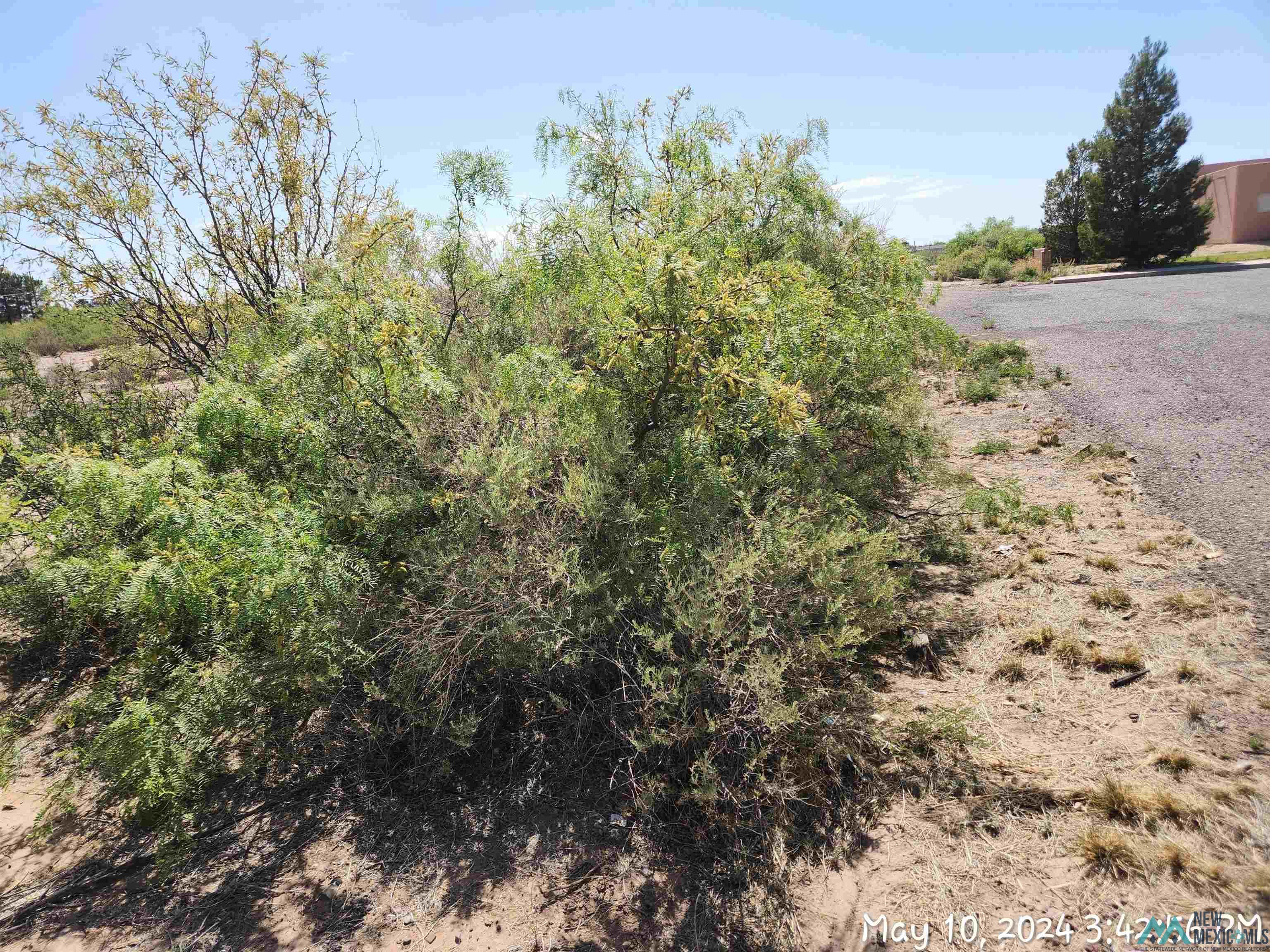 00 Ash Streets, Deming, Texas image 8