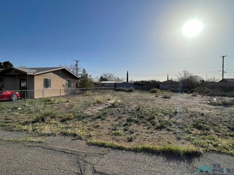 Vacant Land For Sale - XXXX Arena St<br/> Deming, NM 88030