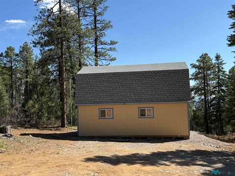Vacant Land For Sale - 98 Private Drive 1781 Drive<br/> Chama, NM 87520