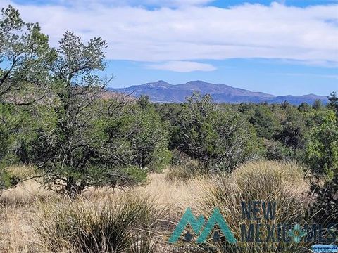 Vacant Land For Sale - XX Moon Shadow Road<br/> Grant County, Hanover, NM 88041