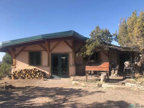 Homes For Sale - 125 Rincon Hondo Canyon Road<br/> Cibola County, Fence Lake, NM 87315