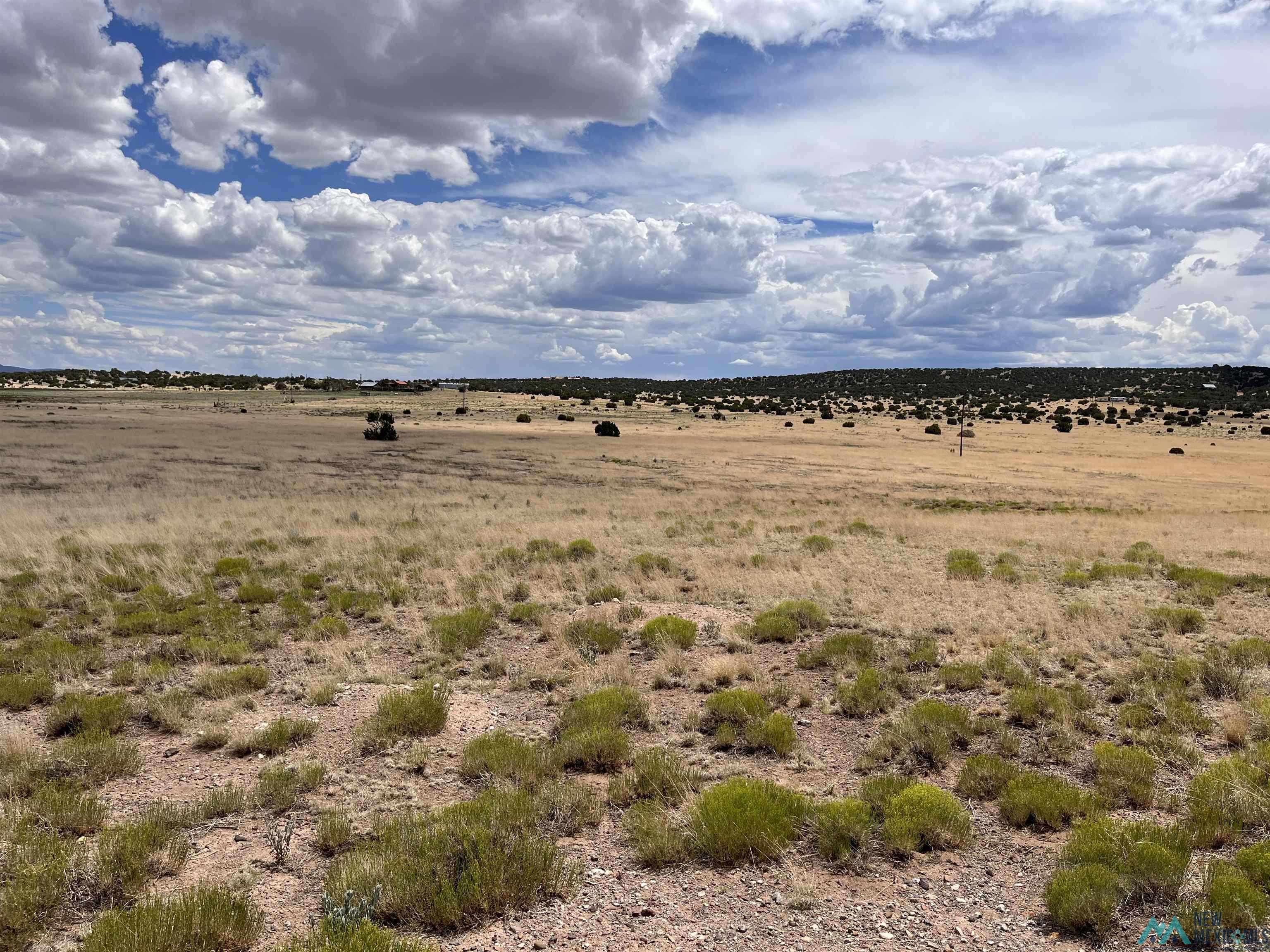 Lot 145 W Quail Drive, Quemado, Texas image 8