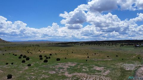 Vacant Land For Sale - LOT 145 Quail Drive<br/> Quemado, NM 87829