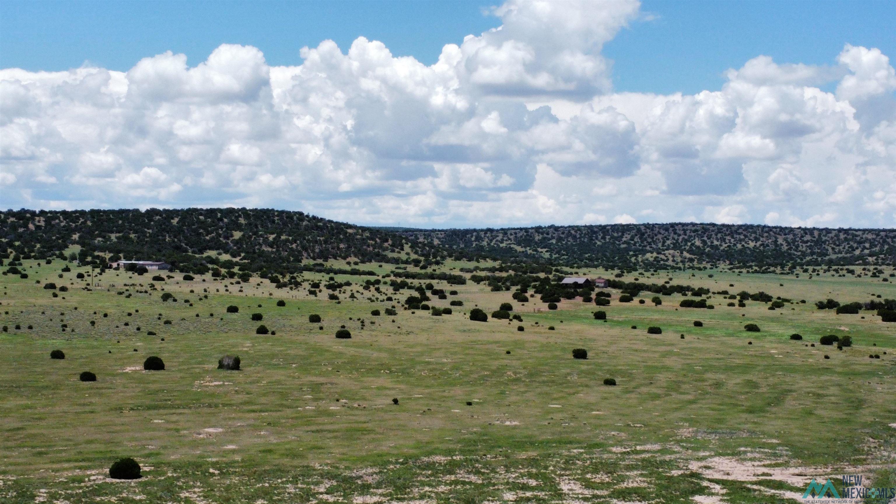 Lot 145 W Quail Drive, Quemado, Texas image 5