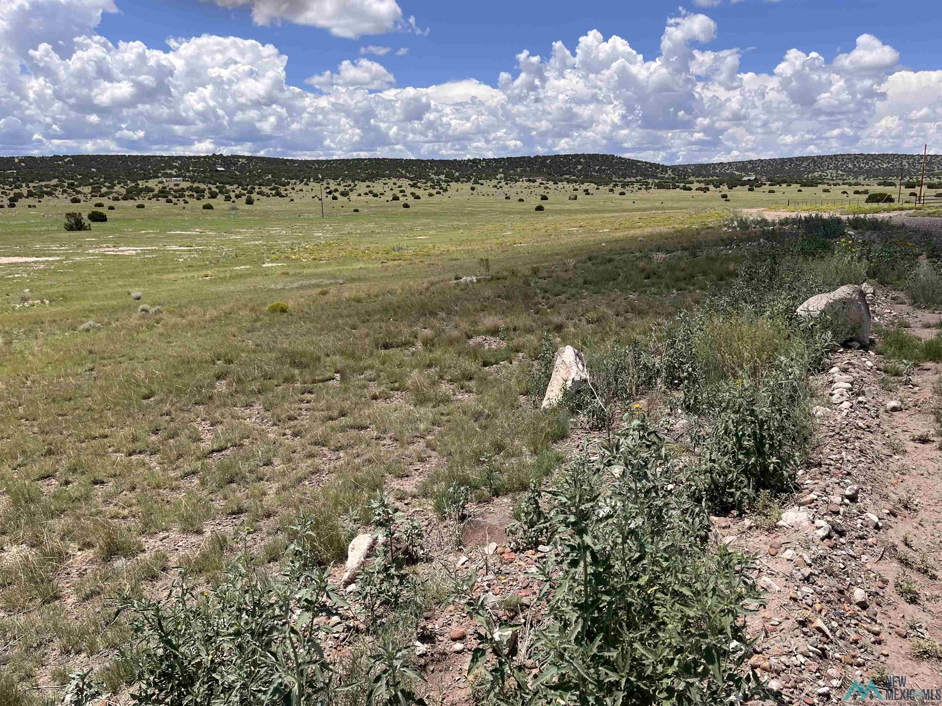 Lot 145 W Quail Drive, Quemado, Texas image 6